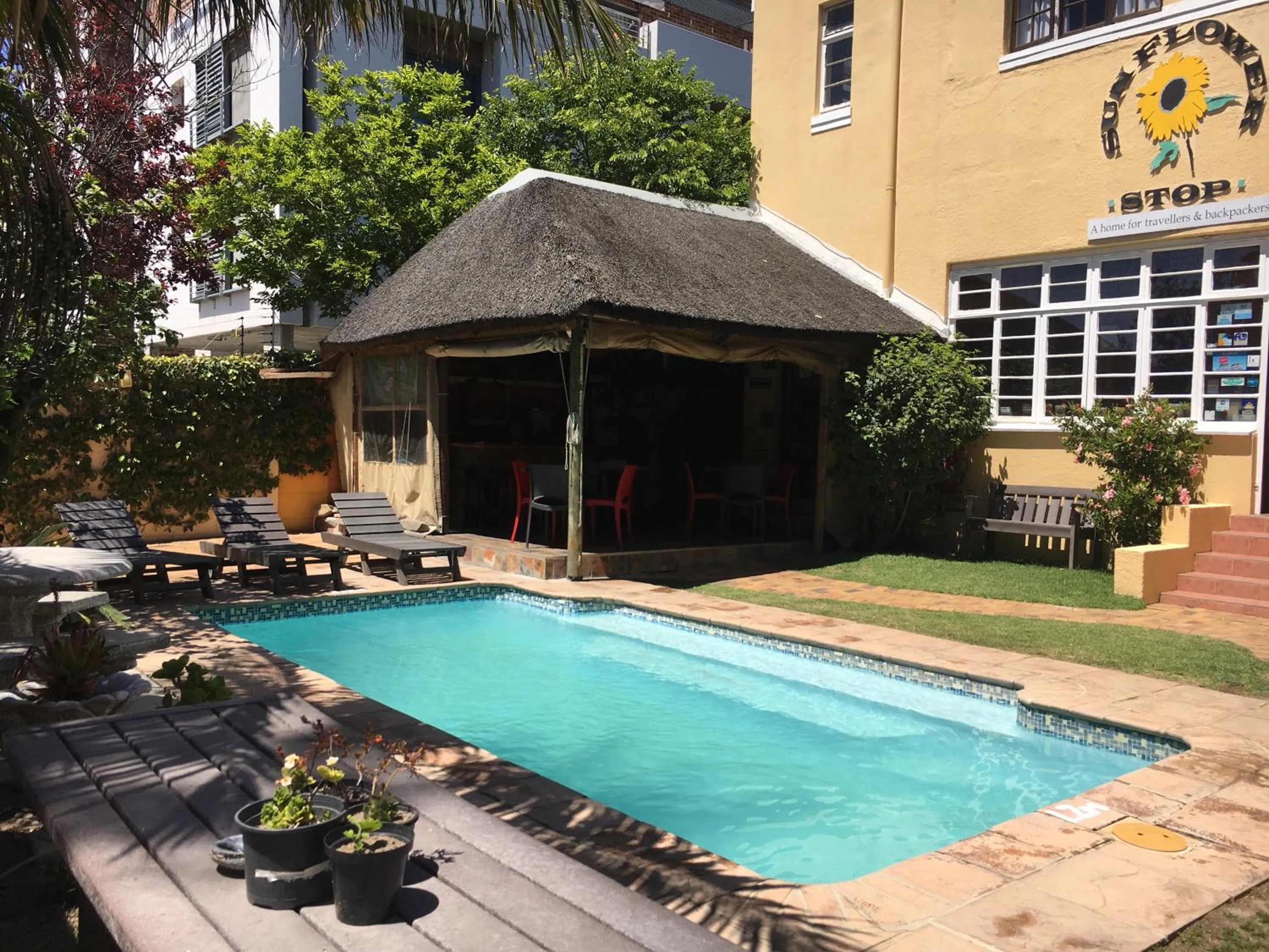 Garden in A Sunflower Stop Backpackers