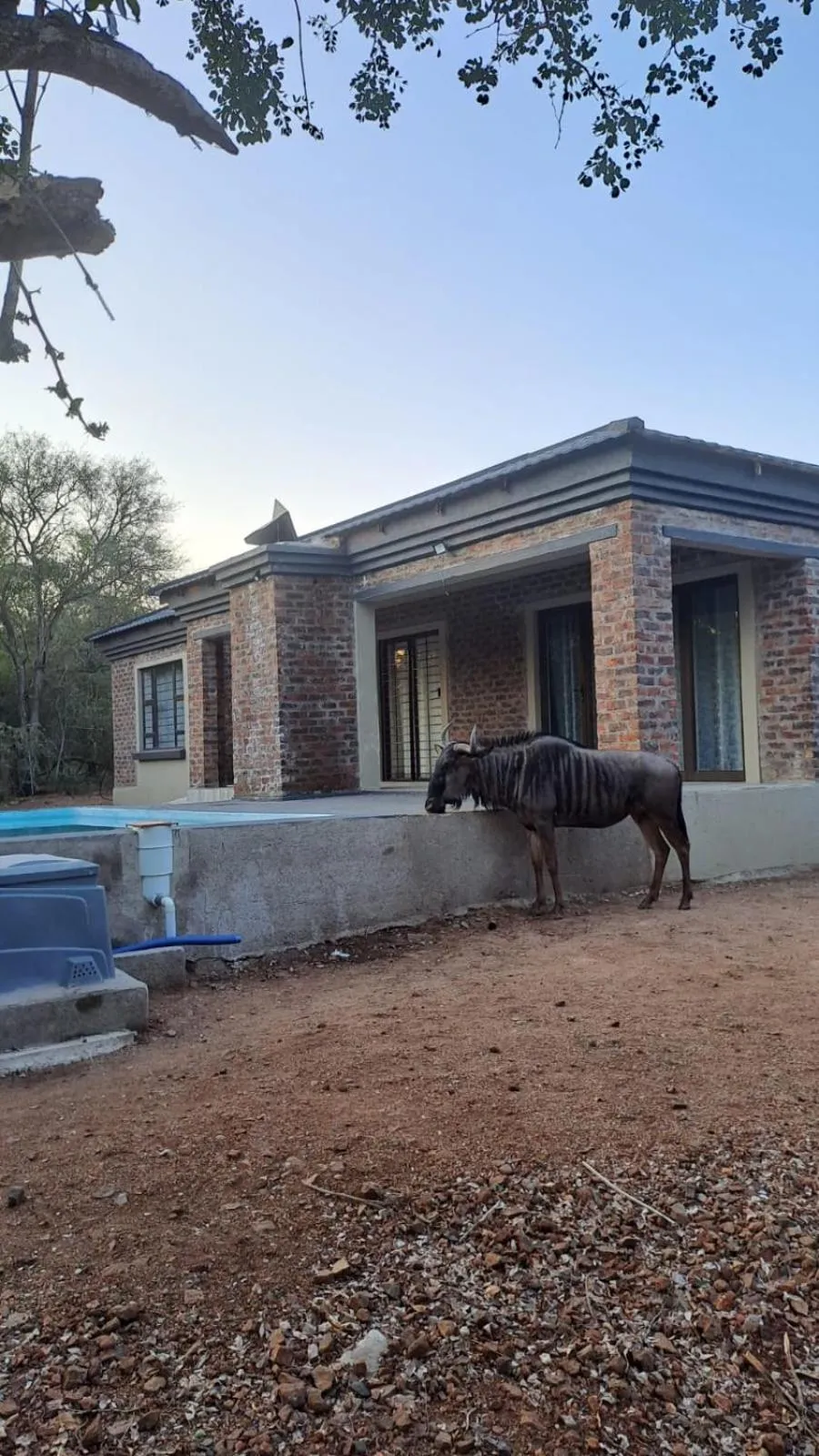 Nanisto Bush Lodge