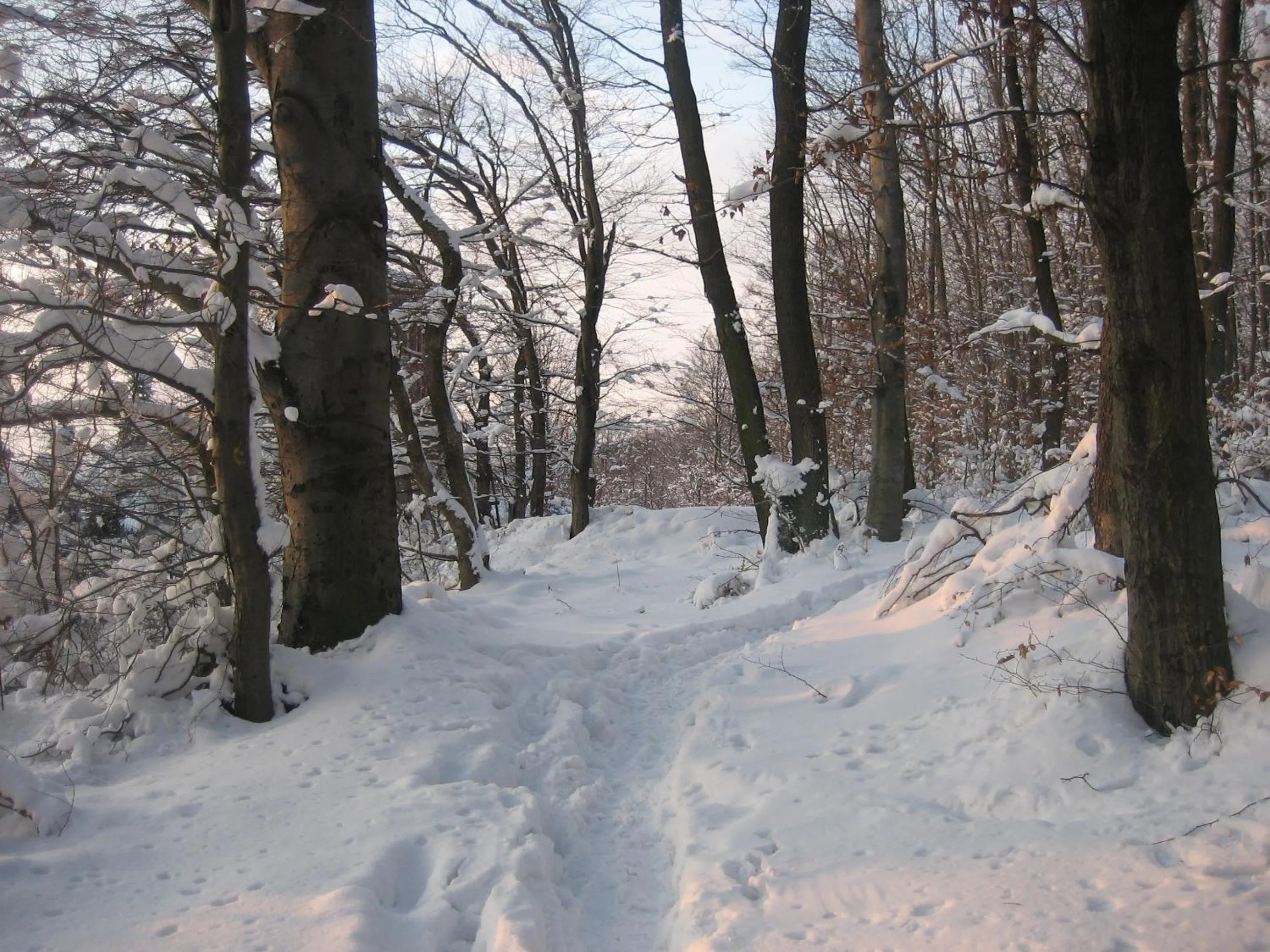 Area and facilities in Hotel Rosner