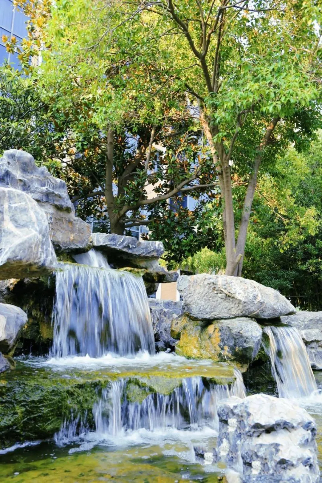 Garden in Holiday Inn Express Zhengzhou Zhongzhou by IHG