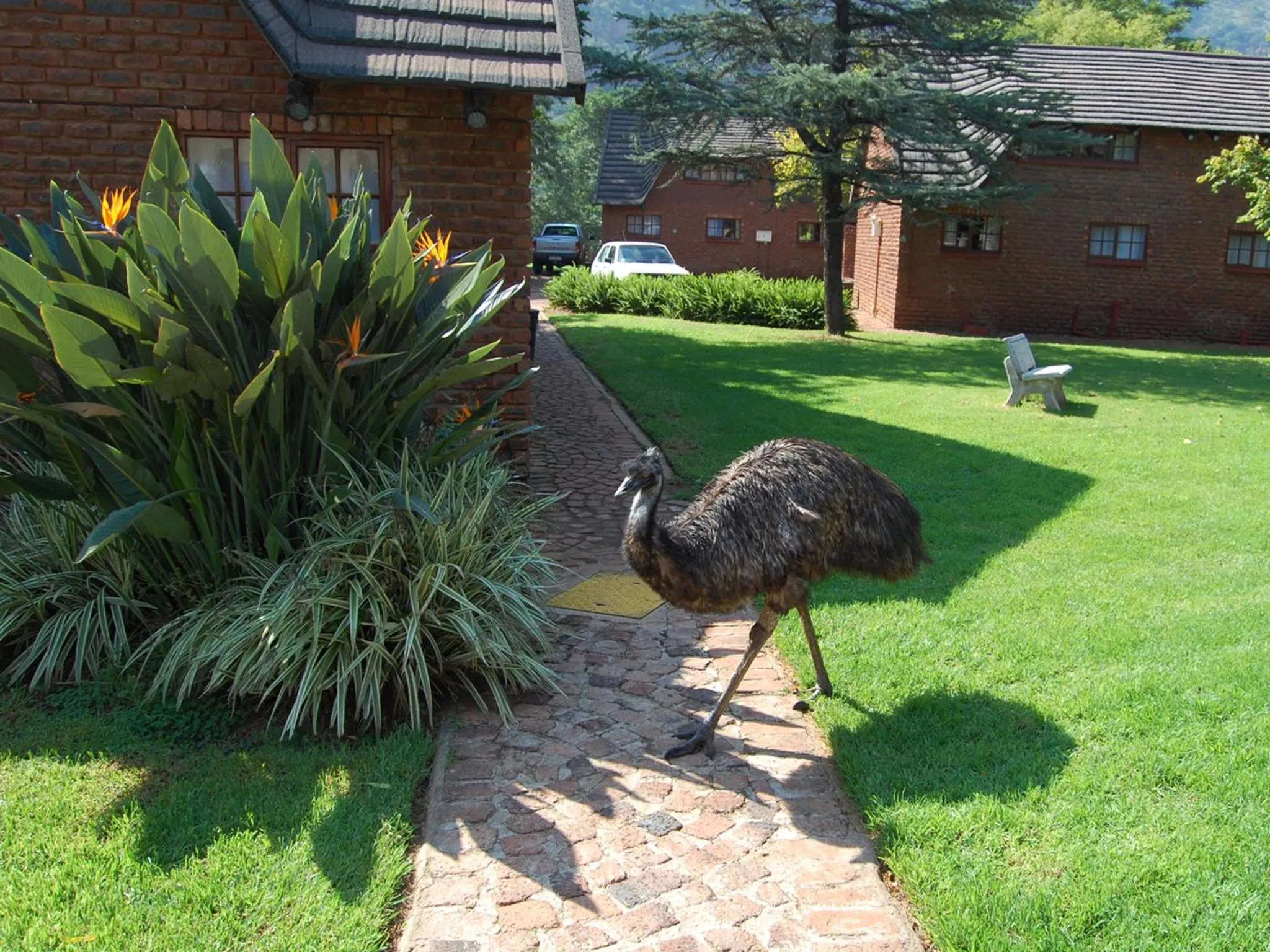 Mount Amanzi