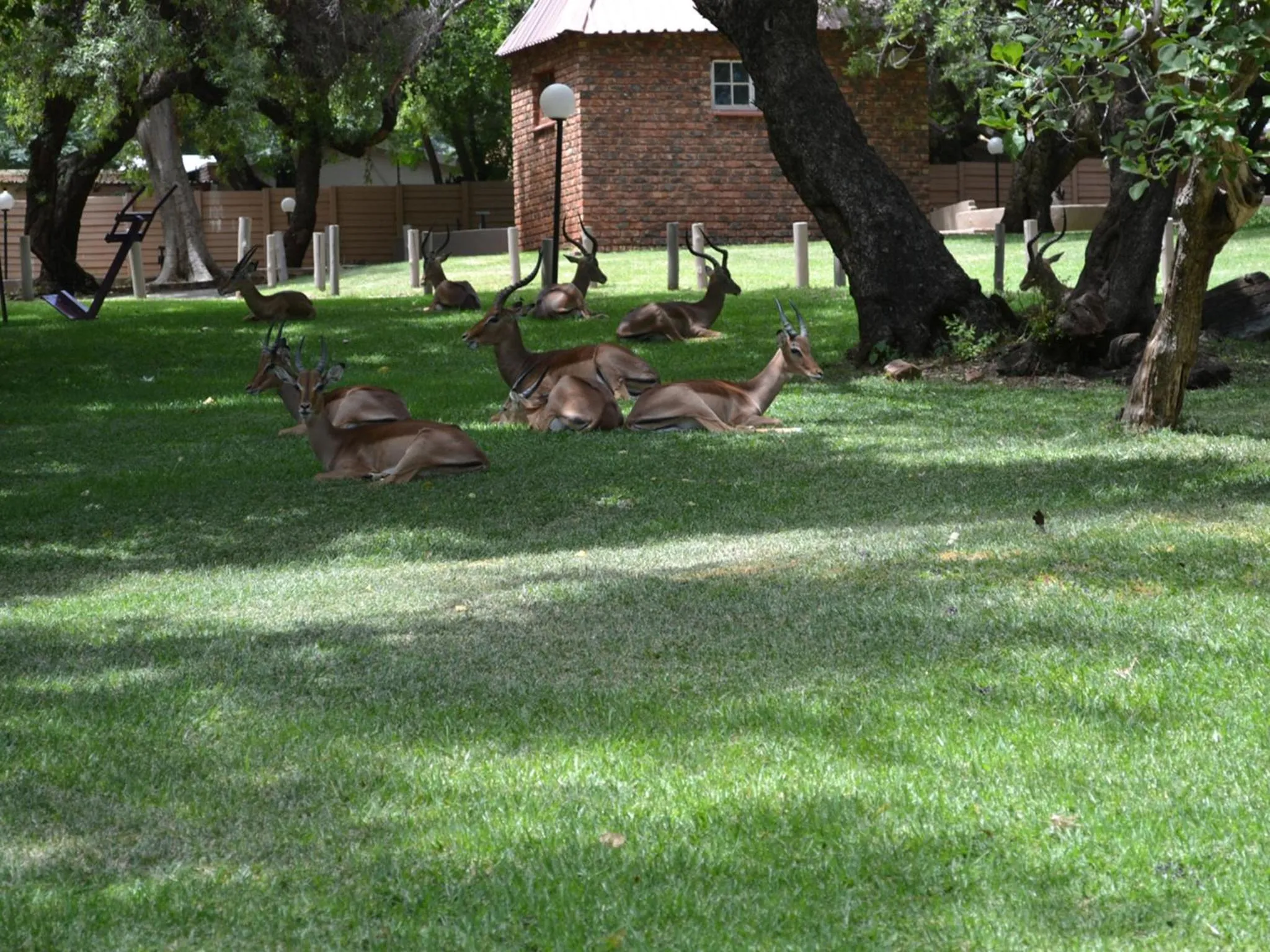 Mount Amanzi
