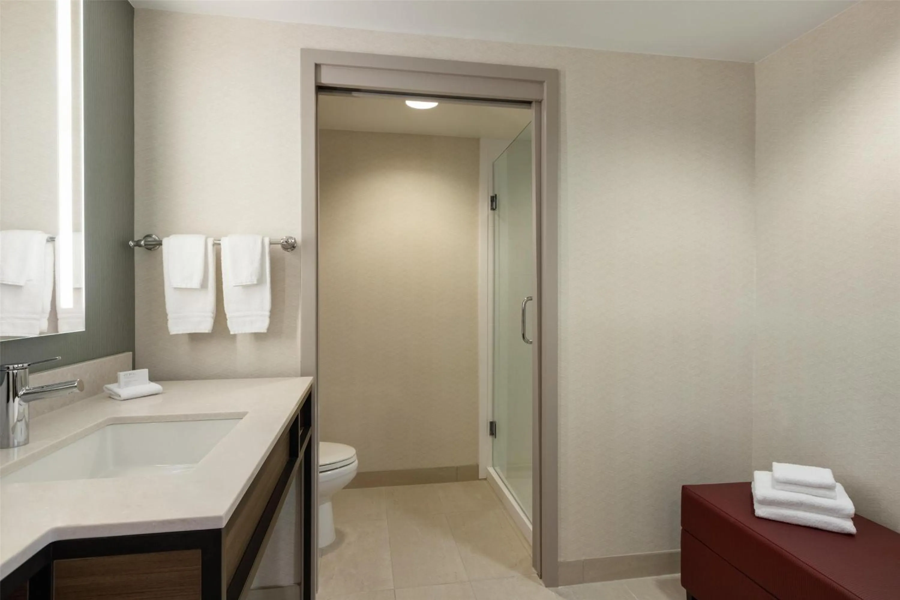 Bathroom in Hilton Garden Inn Atlanta Downtown