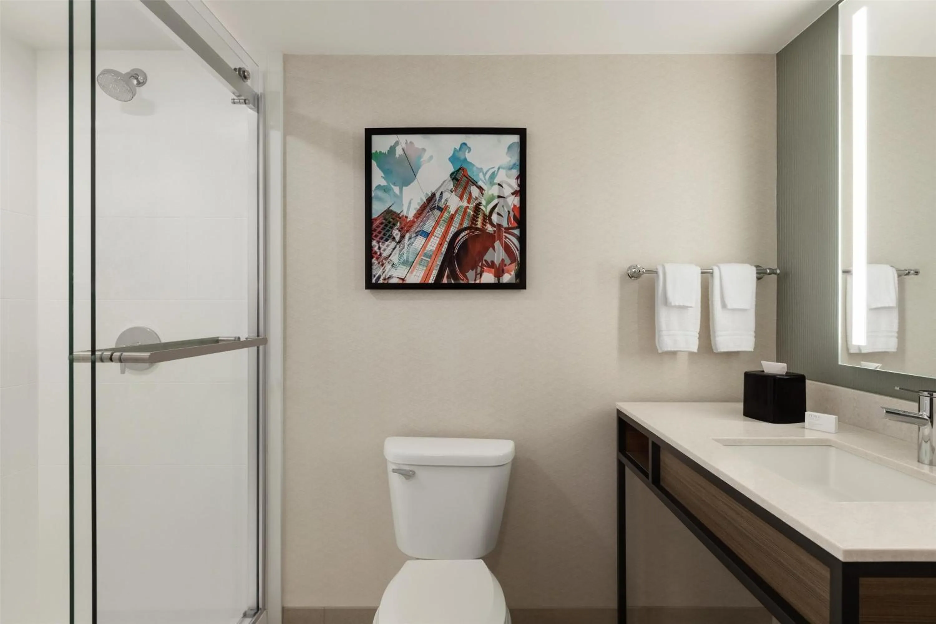 Bathroom in Hilton Garden Inn Atlanta Downtown