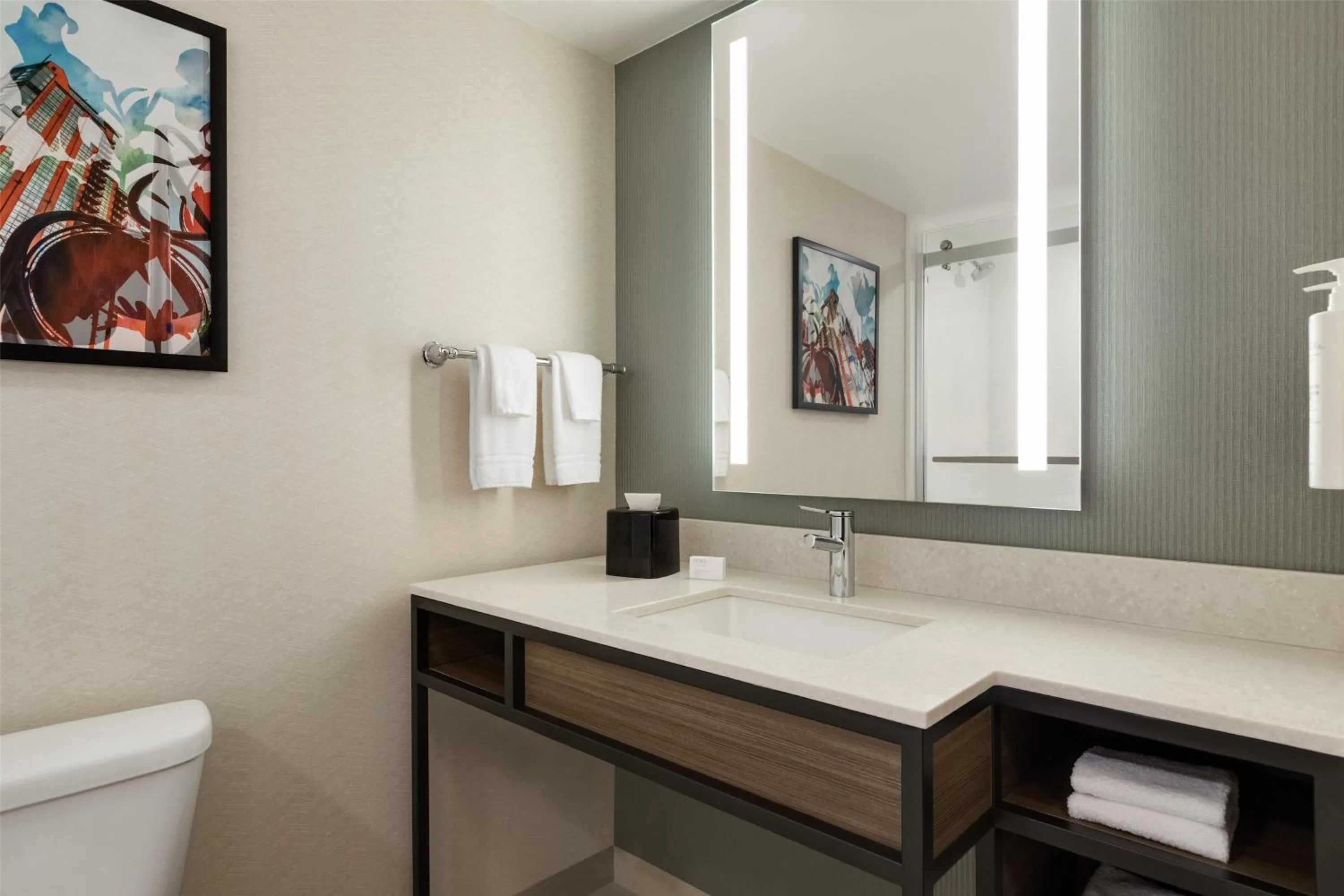 Bathroom in Hilton Garden Inn Atlanta Downtown