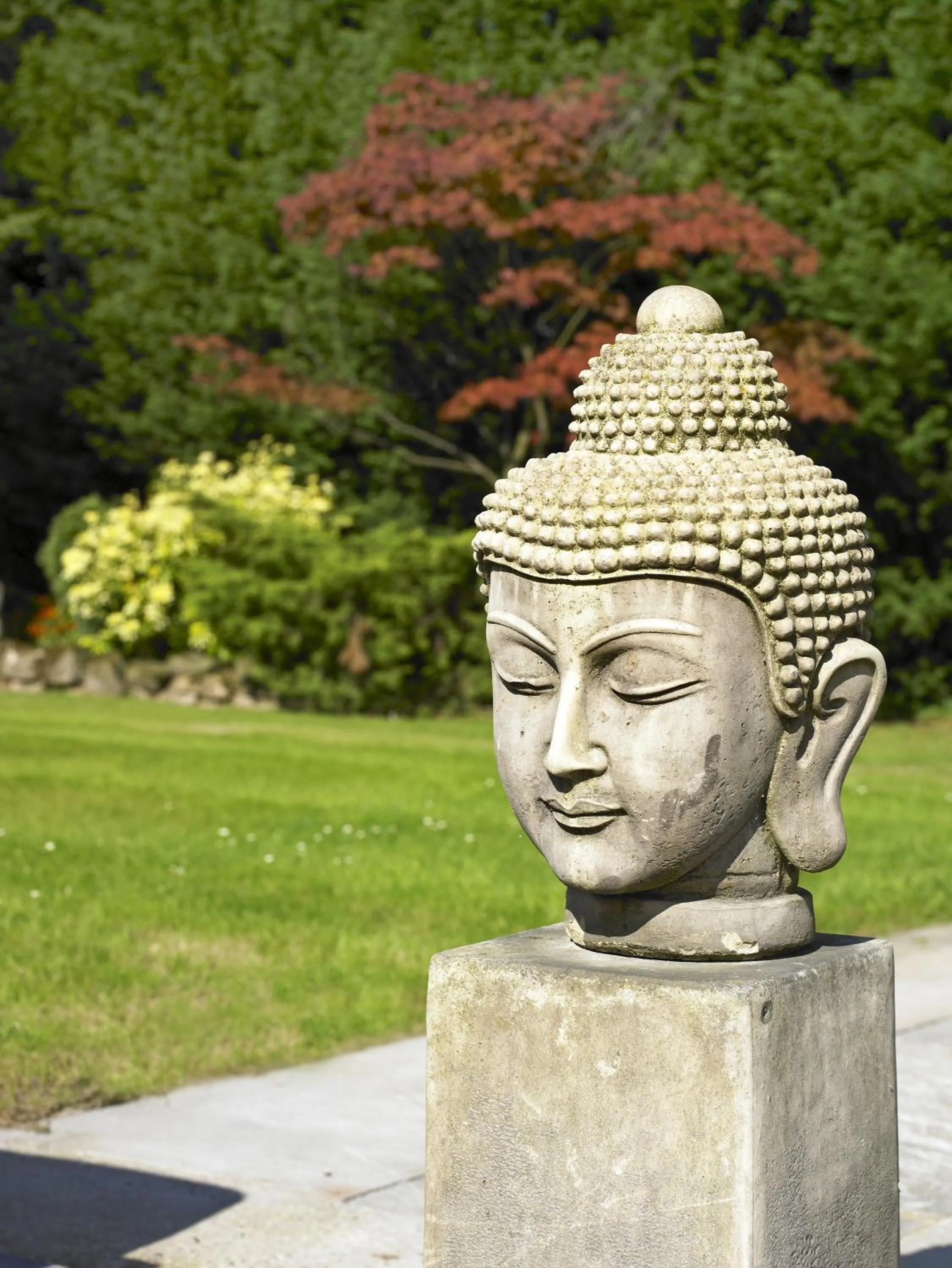 Garden in Windfalls Boutique Hotel