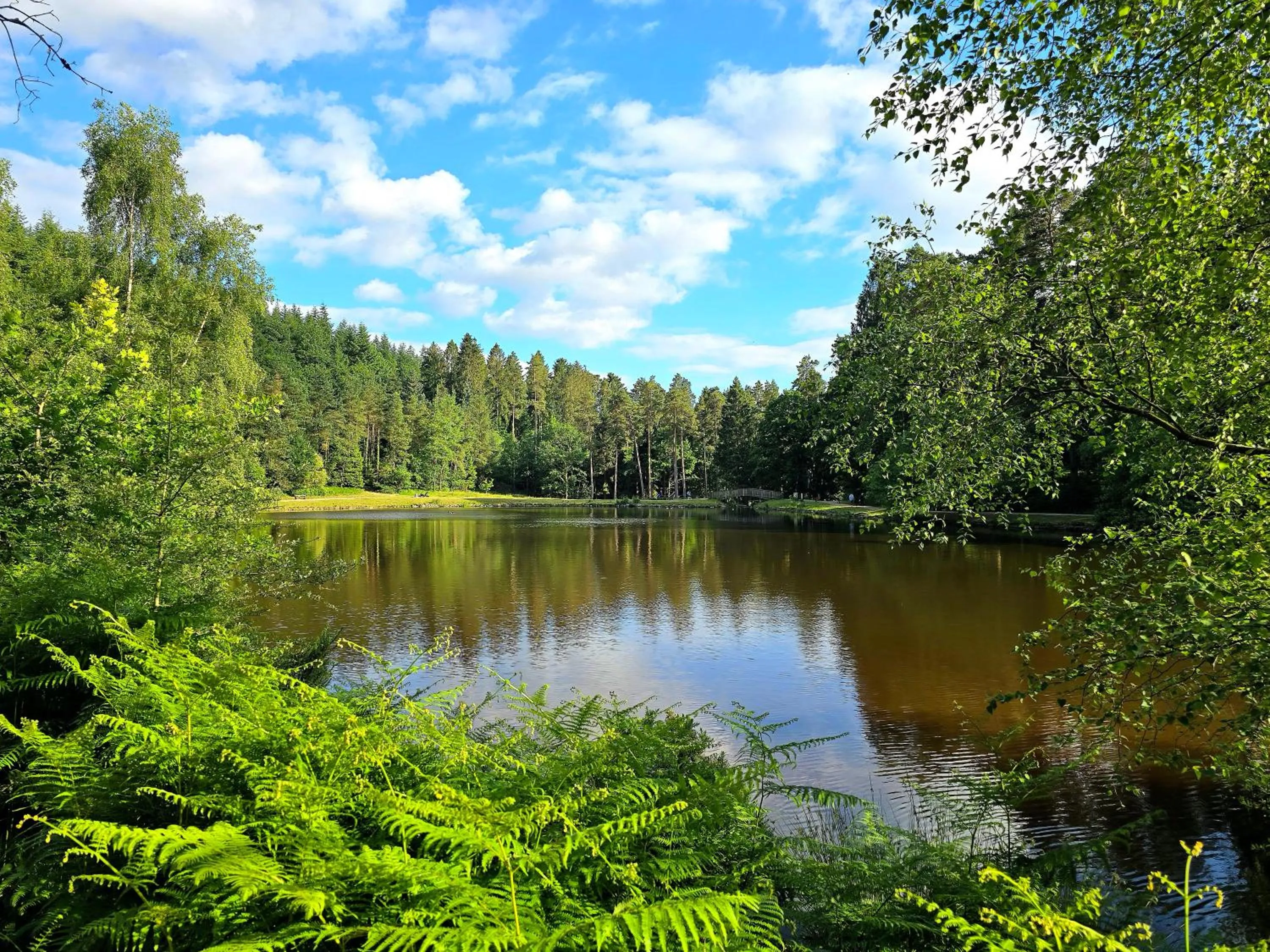 Littledean House Hotel