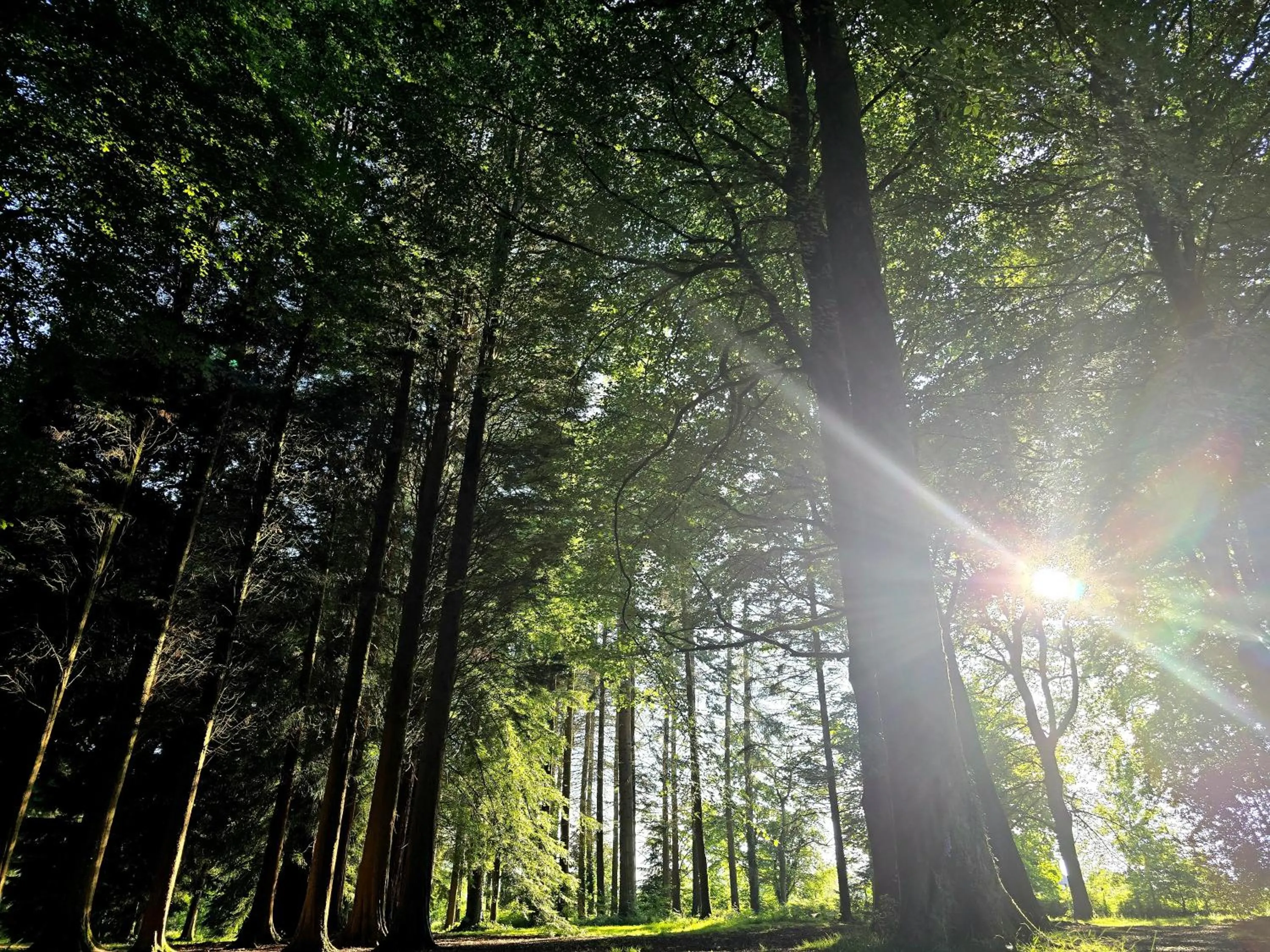 Littledean House Hotel