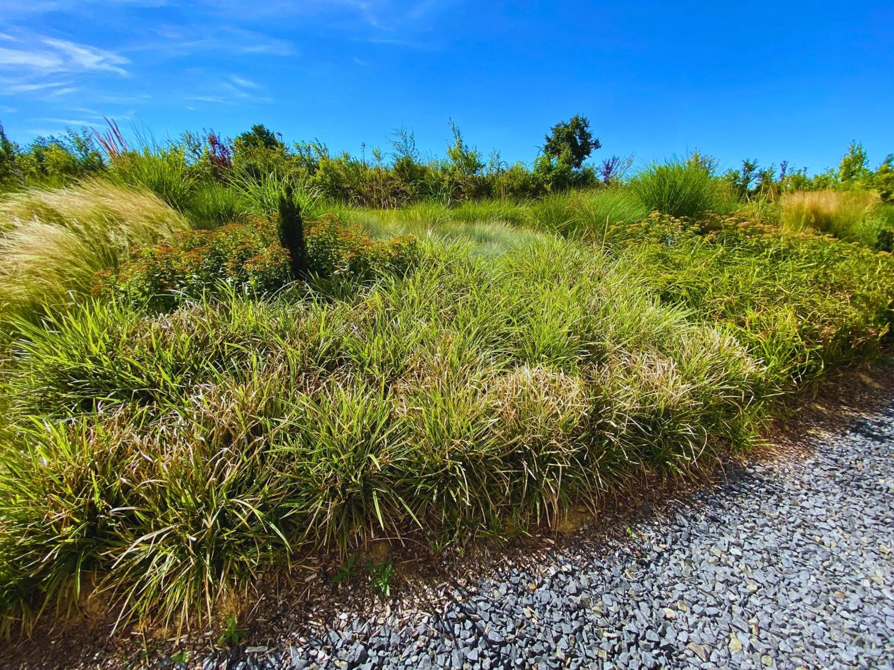 Garden in Avaneo Hotel Marktredwitz