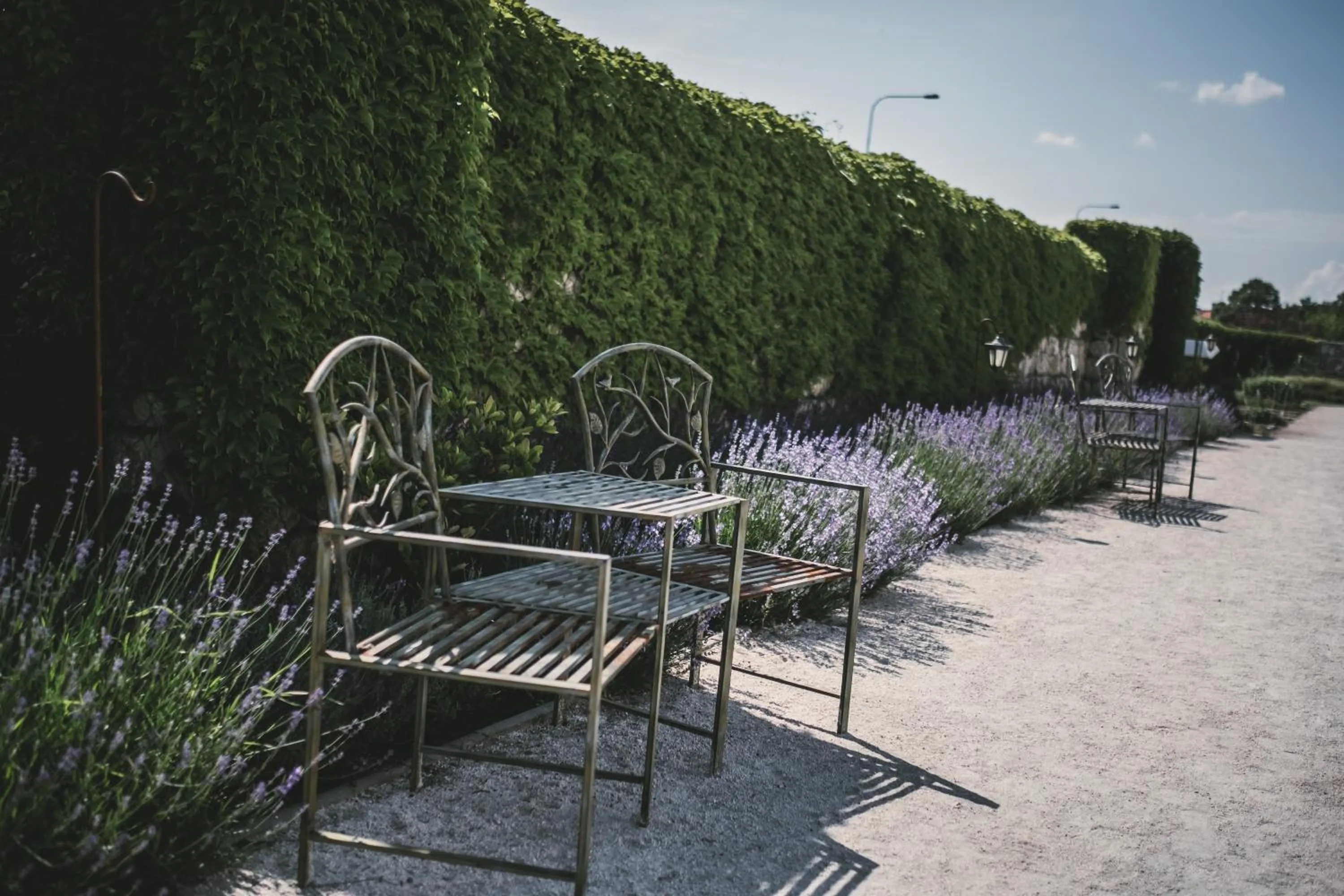 Garden in Hotel Marcincak***