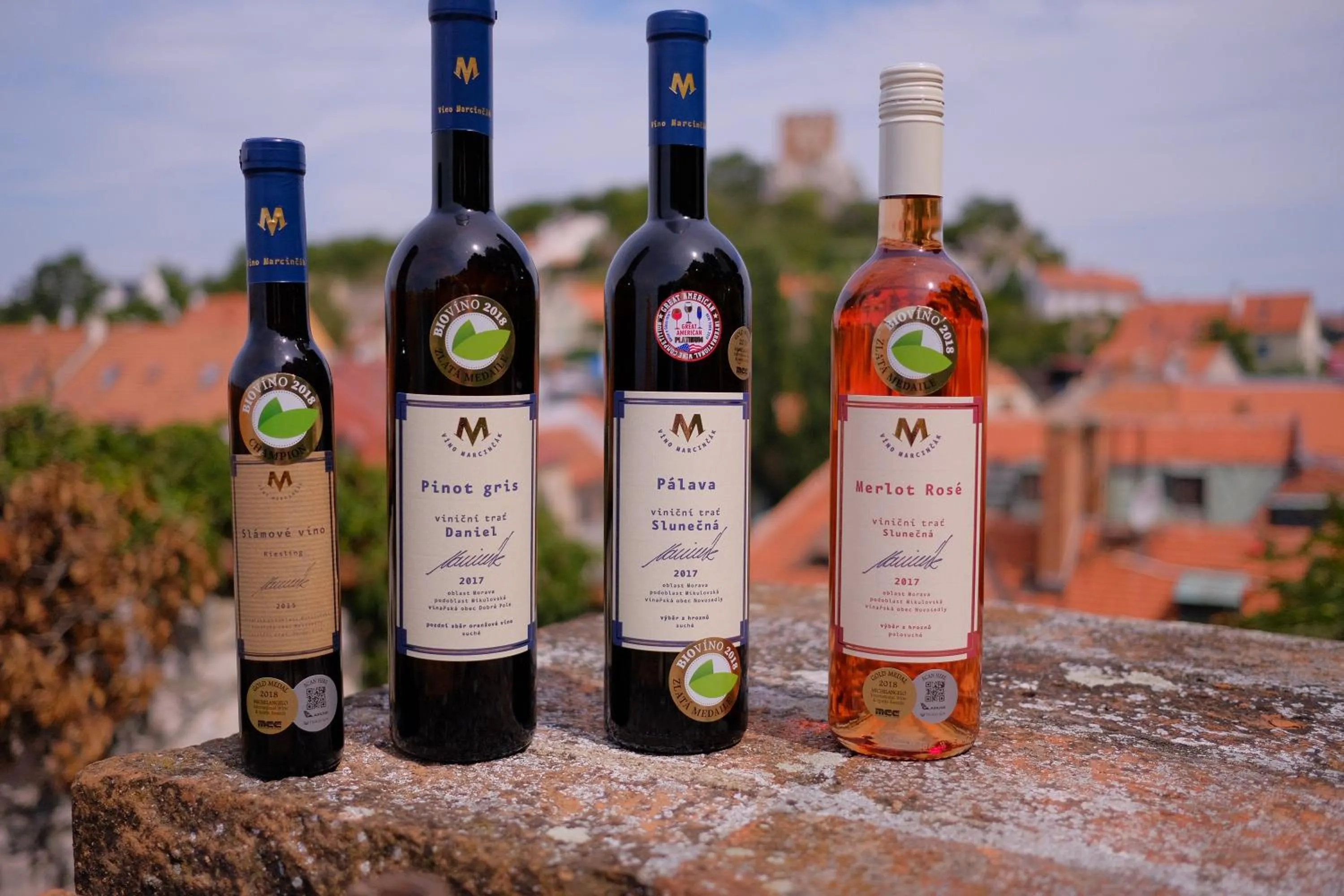 Lobby or reception in Hotel Marcincak***