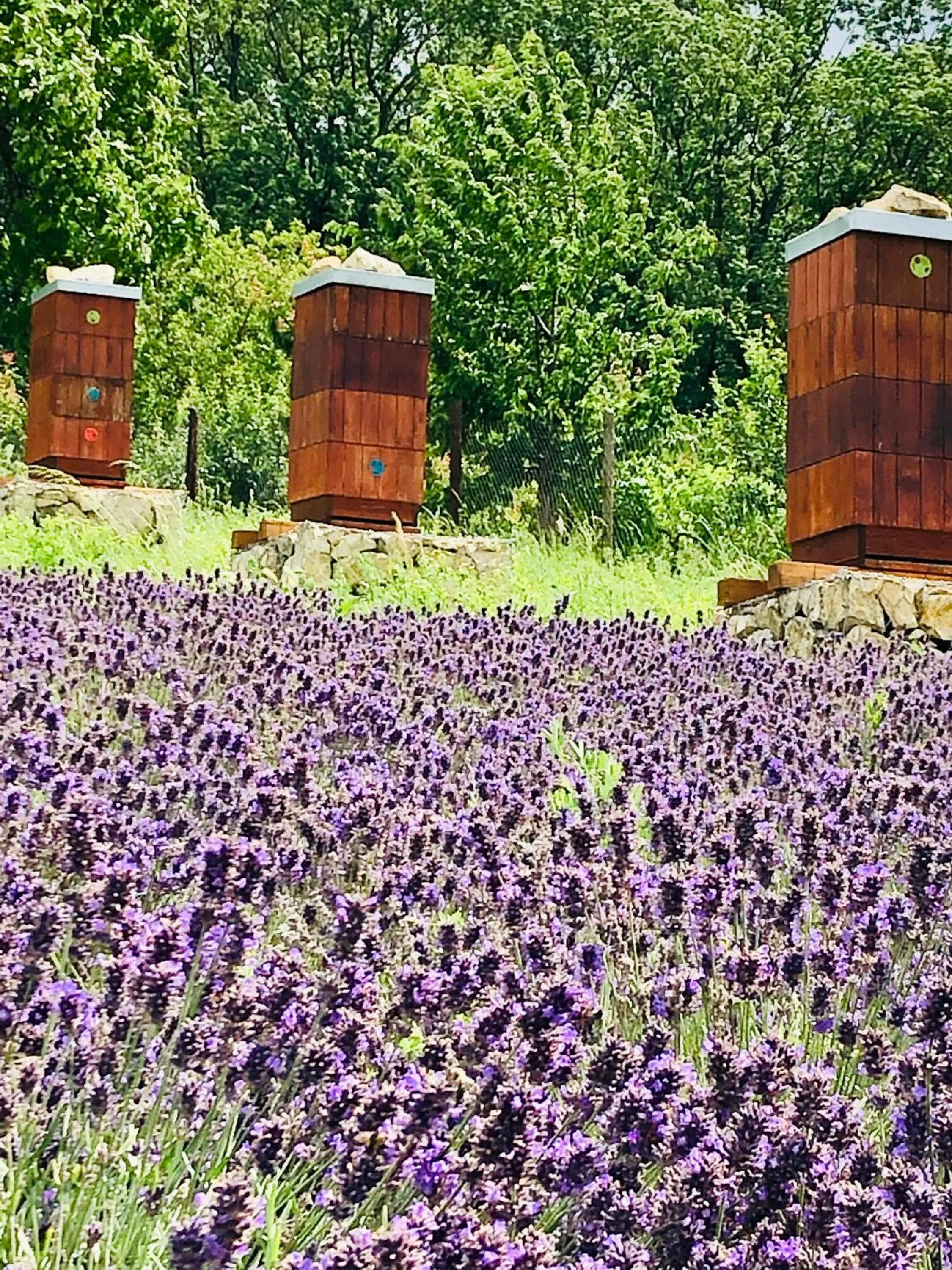 Nearby landmark in Hotel Marcincak***