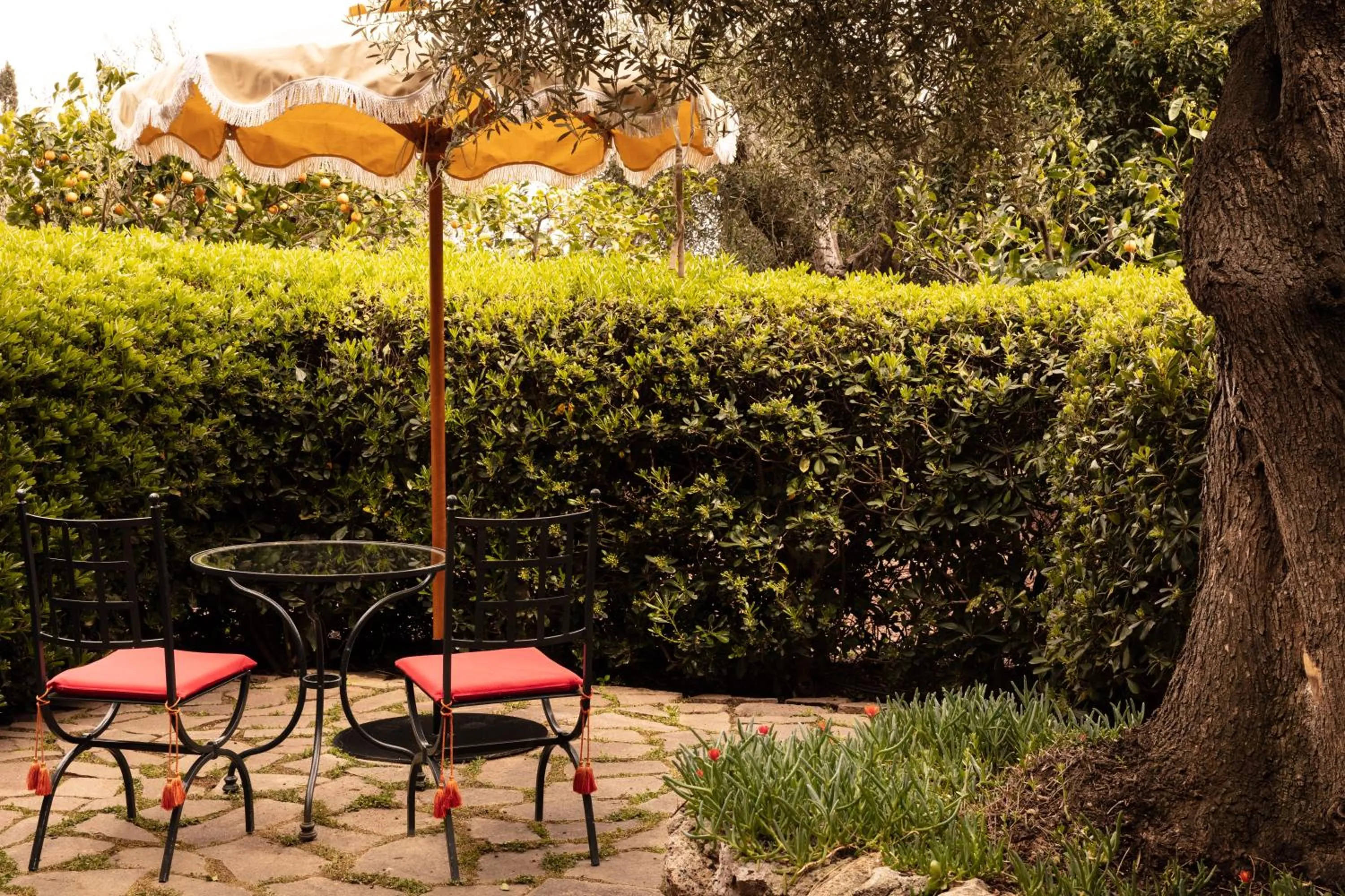 Garden in Il Pellicano