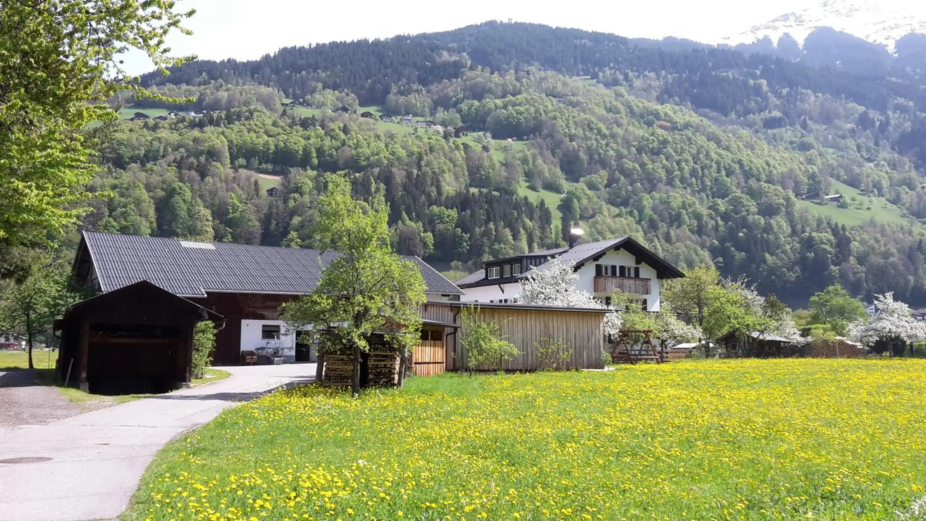 Hof im Feld Hof im Feld