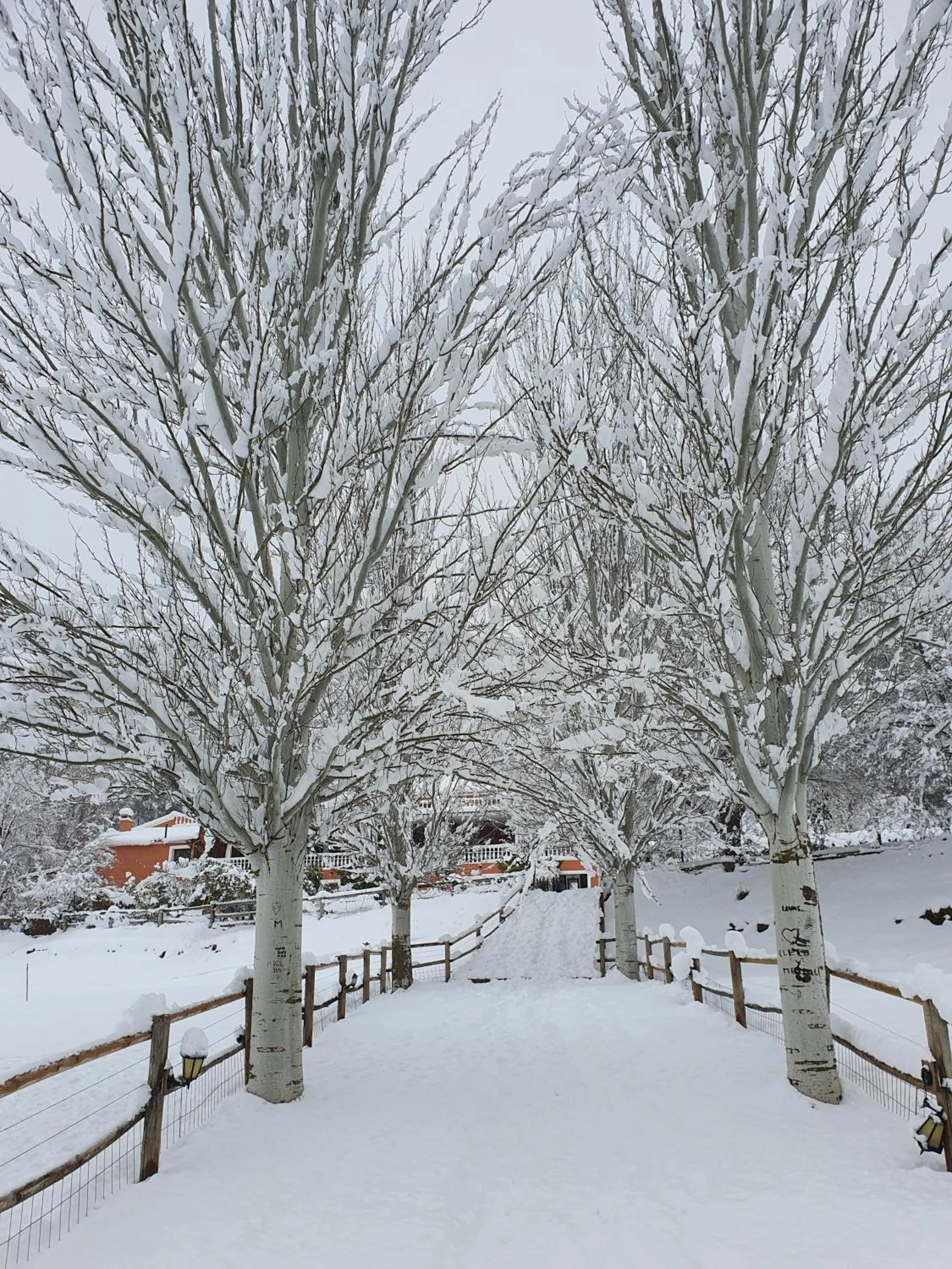 Winter in Hospedium Hotel Val de Pinares