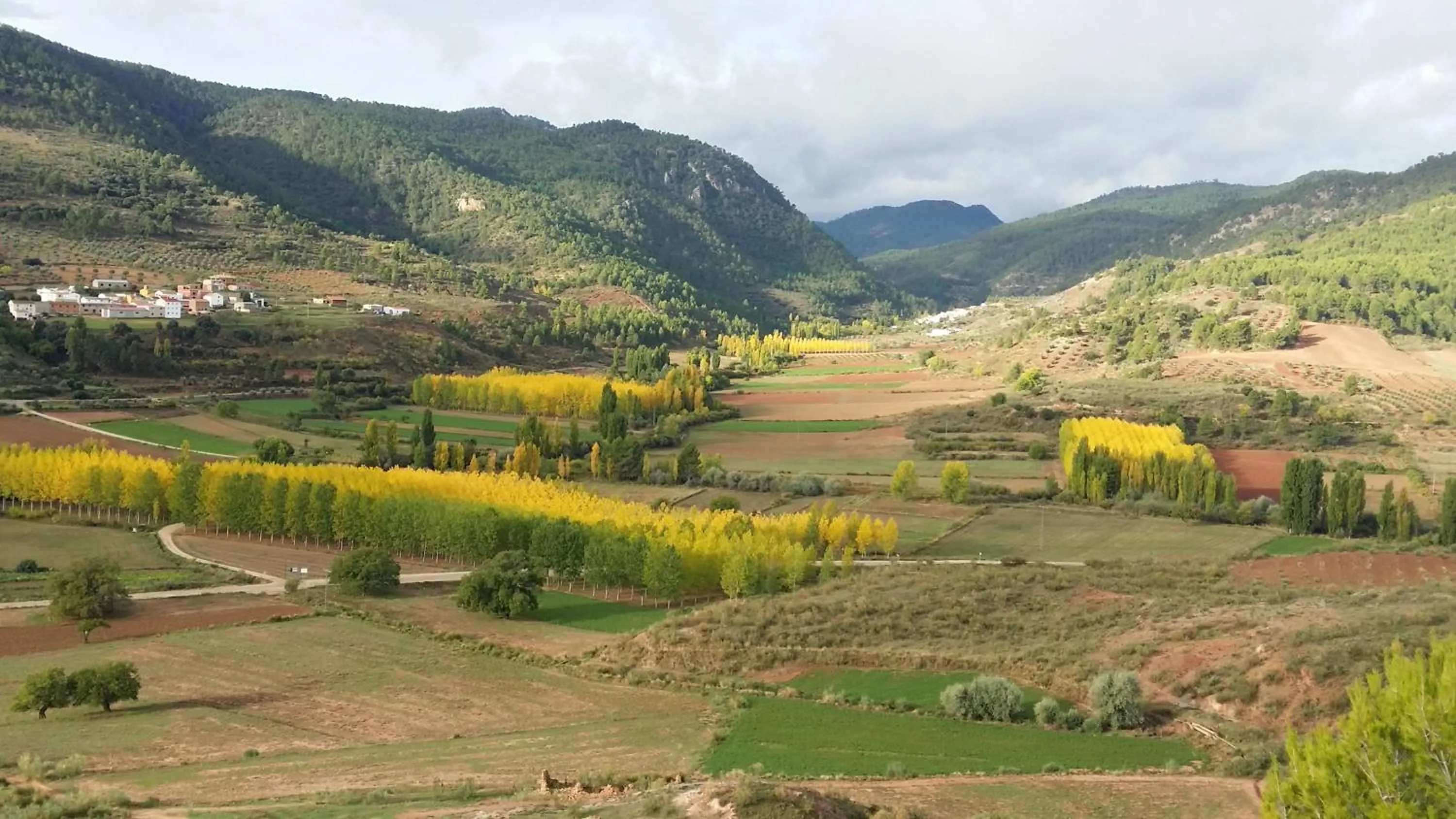 Nearby landmark in Hospedium Hotel Val de Pinares