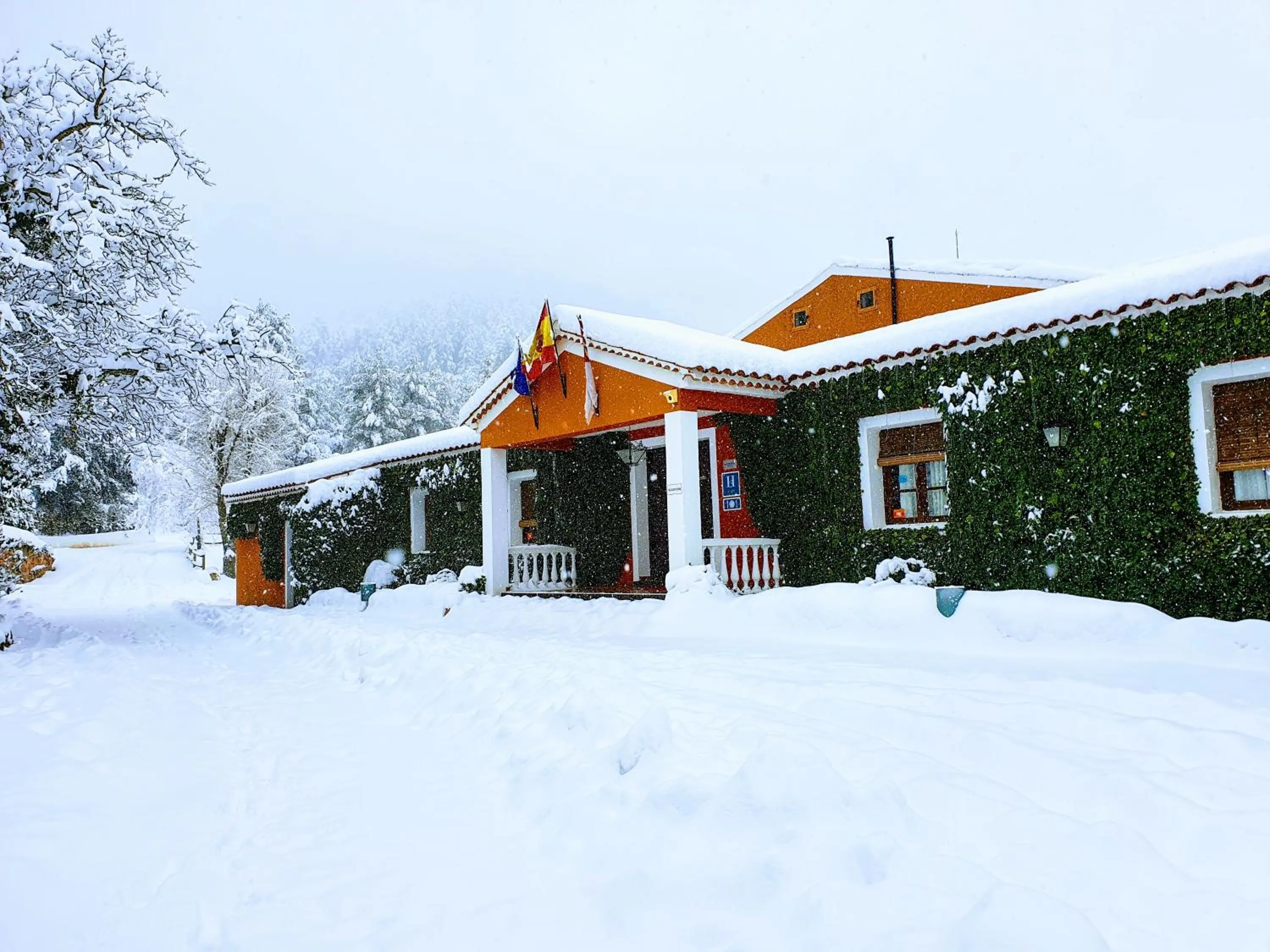 Winter in Hospedium Hotel Val de Pinares