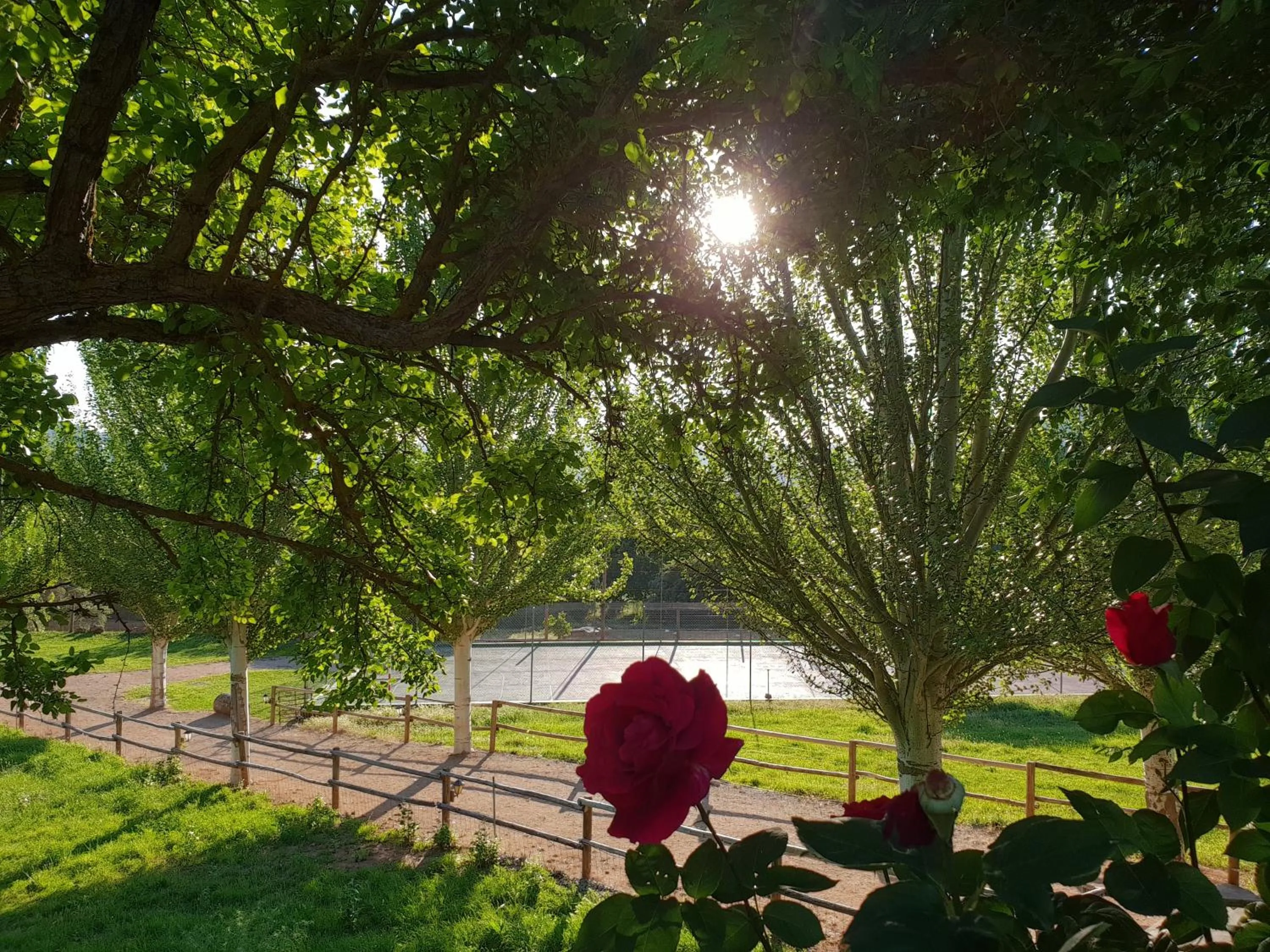 Area and facilities in Hospedium Hotel Val de Pinares