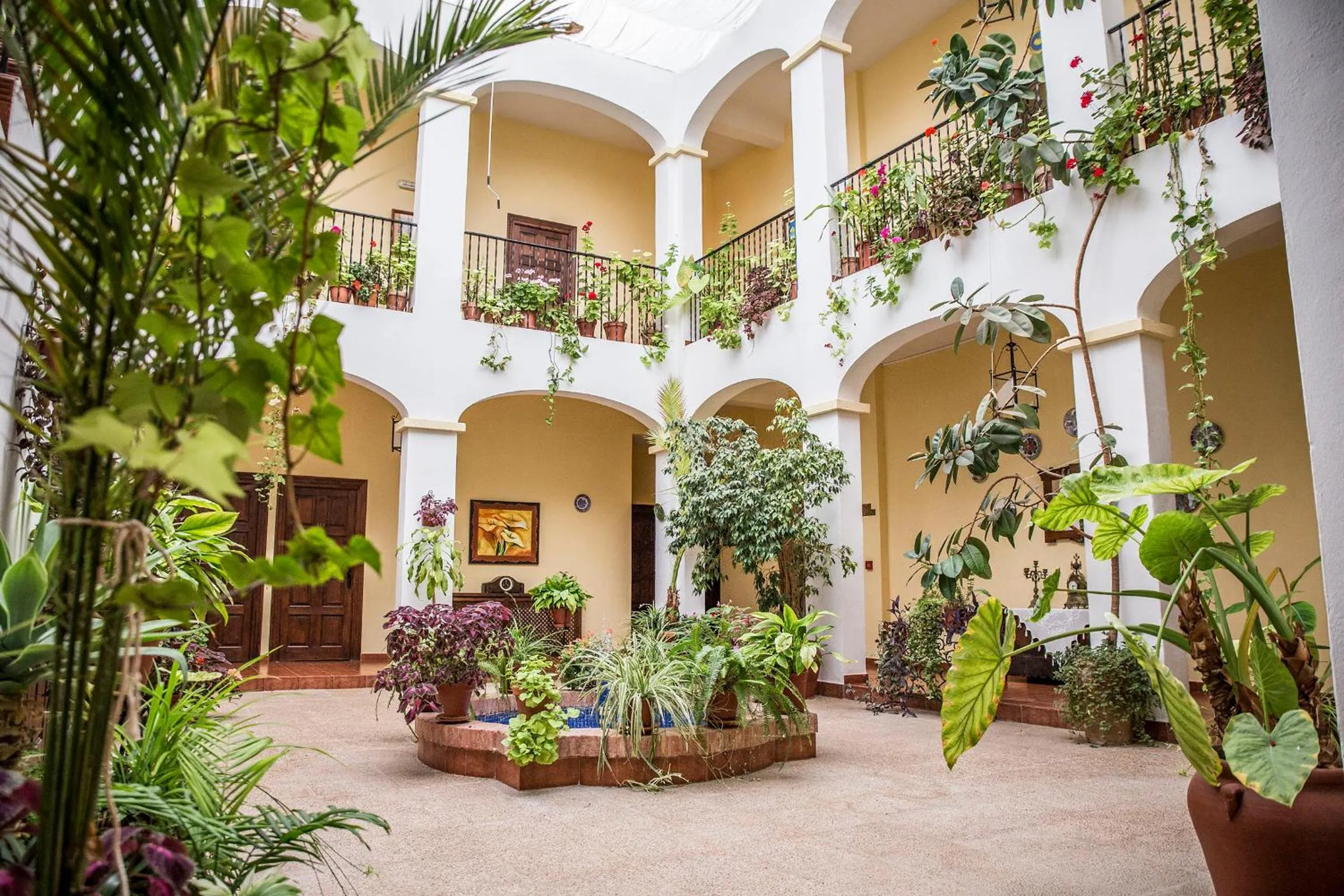 Patio in Hospedium Hotel Val de Pinares