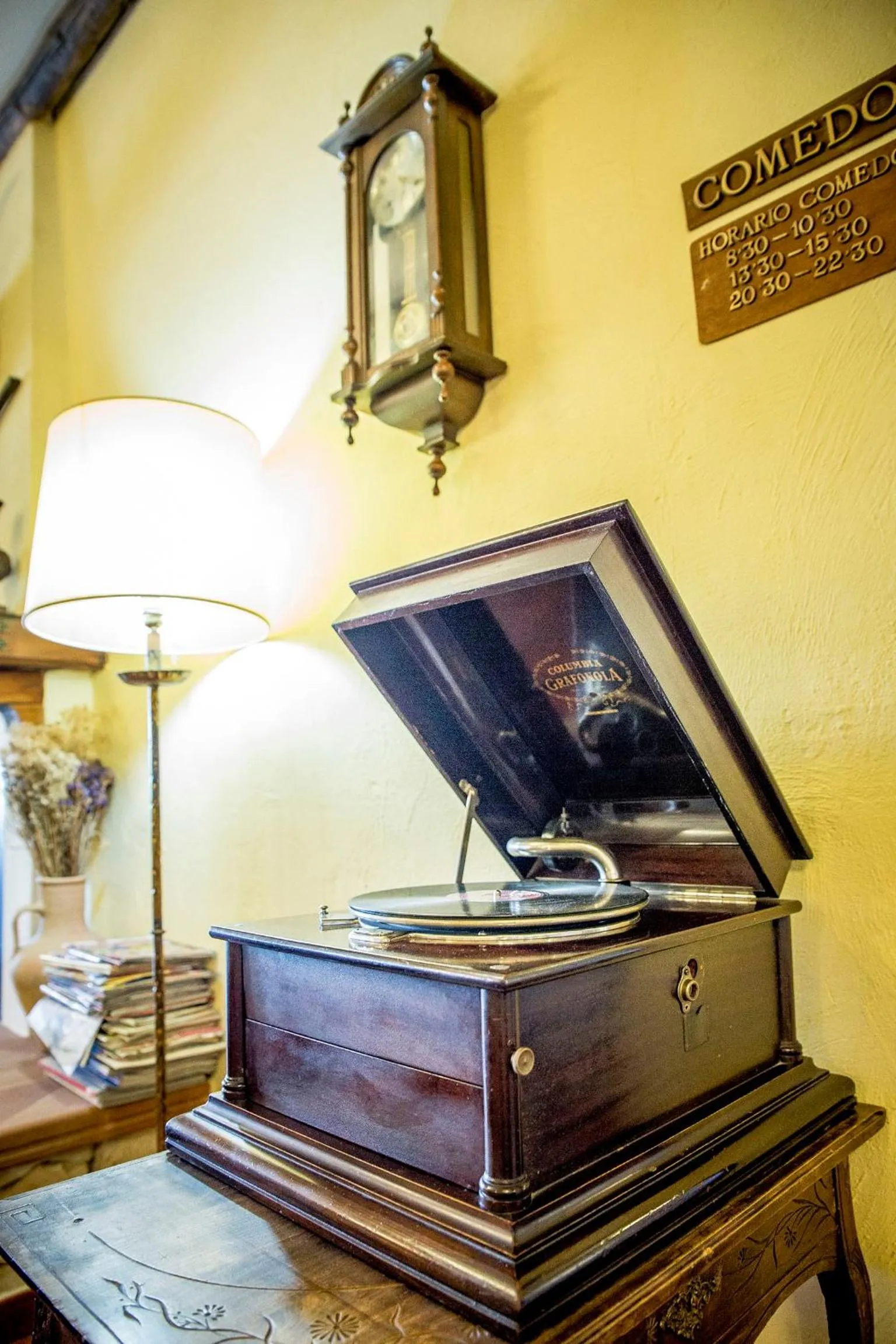 Area and facilities in Hospedium Hotel Val de Pinares