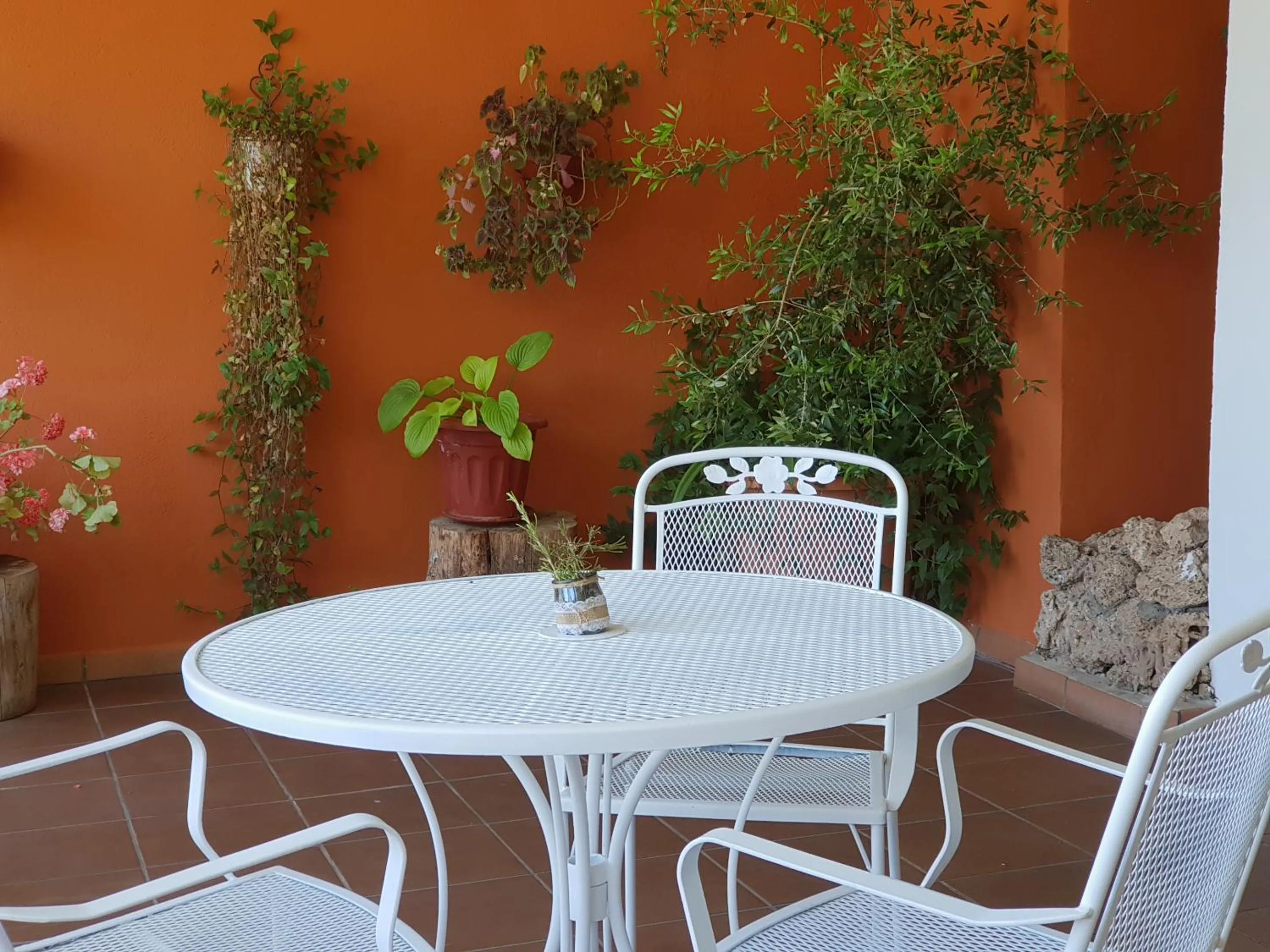 Balcony/Terrace in Hospedium Hotel Val de Pinares