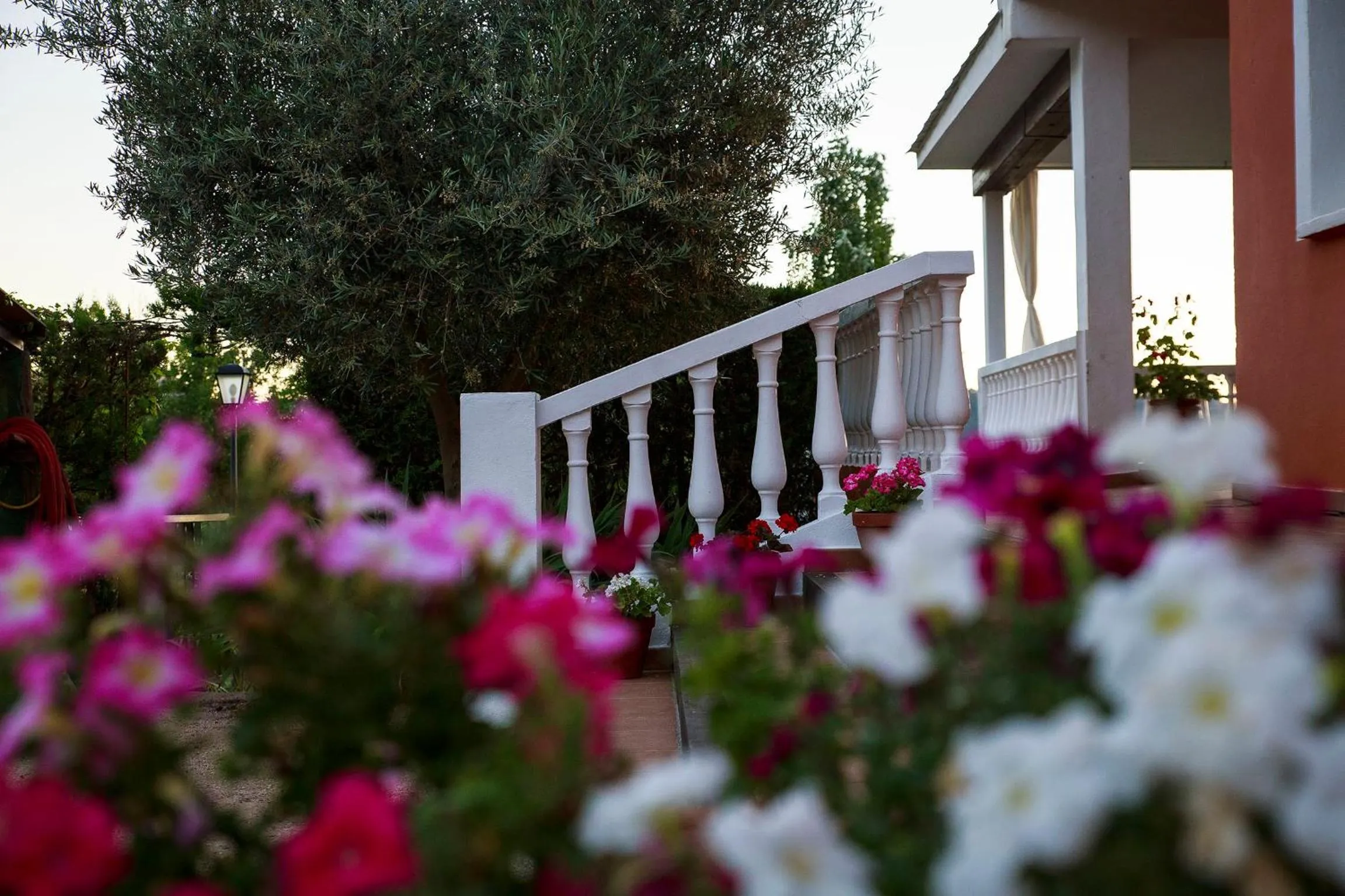 Decorative detail in Hospedium Hotel Val de Pinares