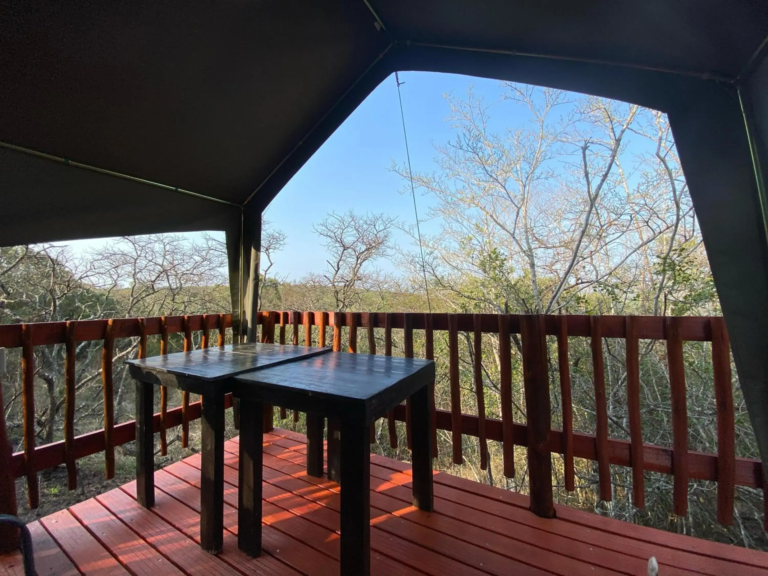 View (from property/room) in Horseshoe Game Reserve View (from property/room) in Horseshoe Game Reserve