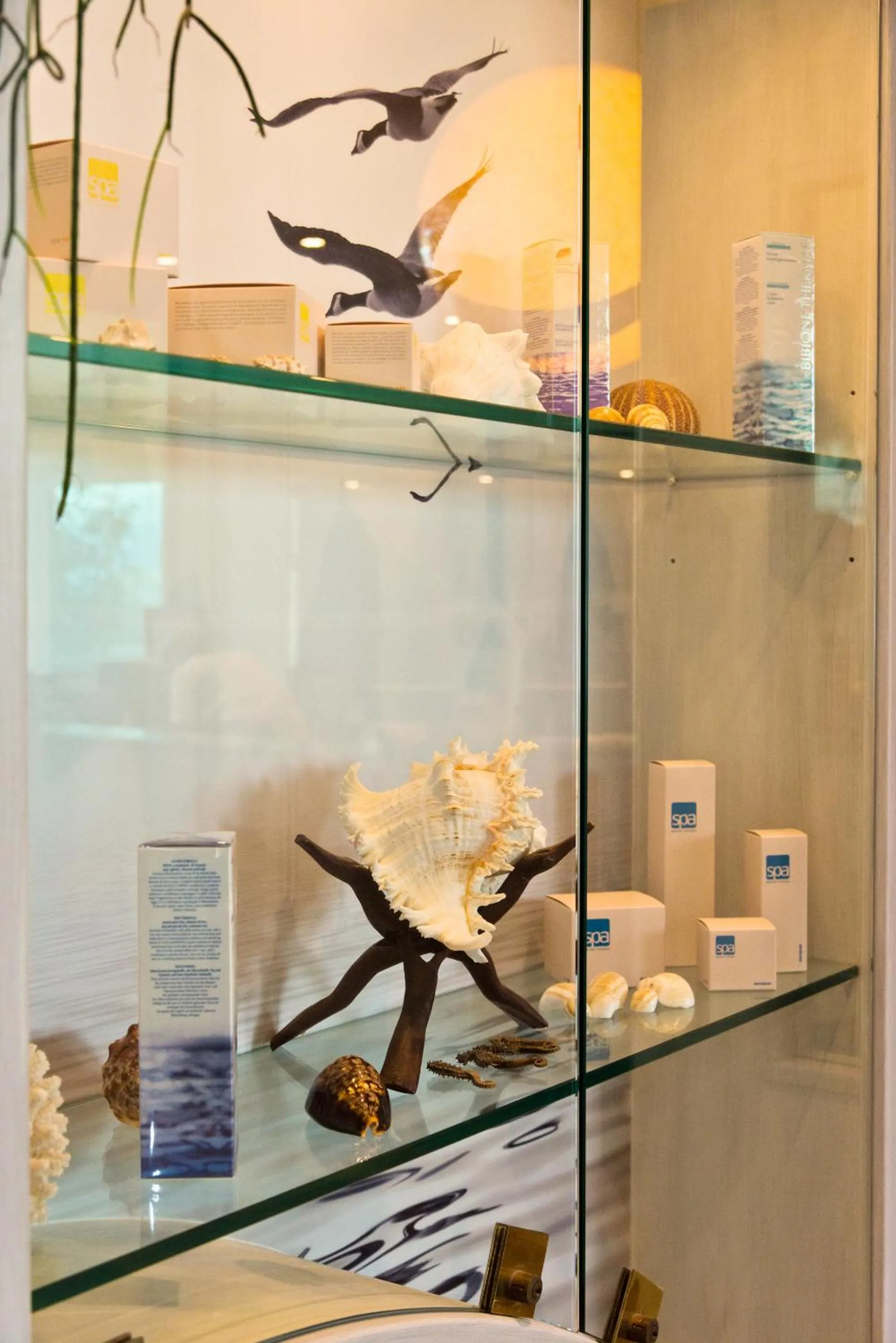 Lobby or reception in Hotel Ambassador