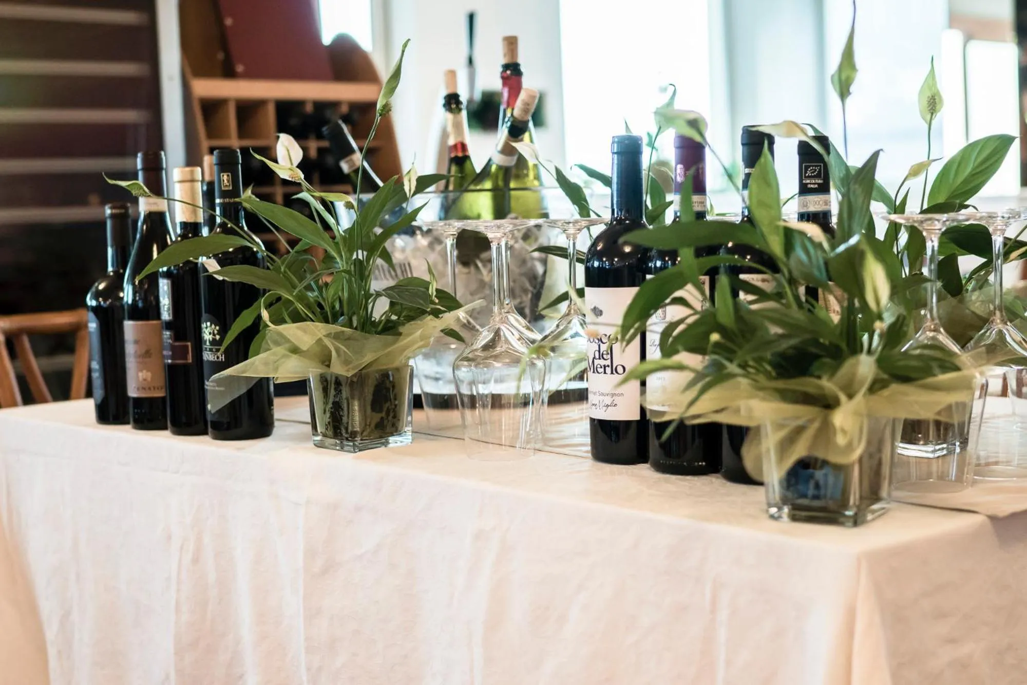 Alcoholic drinks in Hotel Ambassador