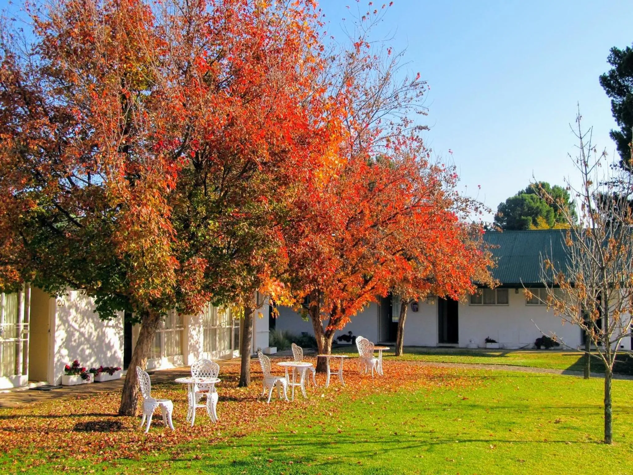 Garden in Umtali Country Inn