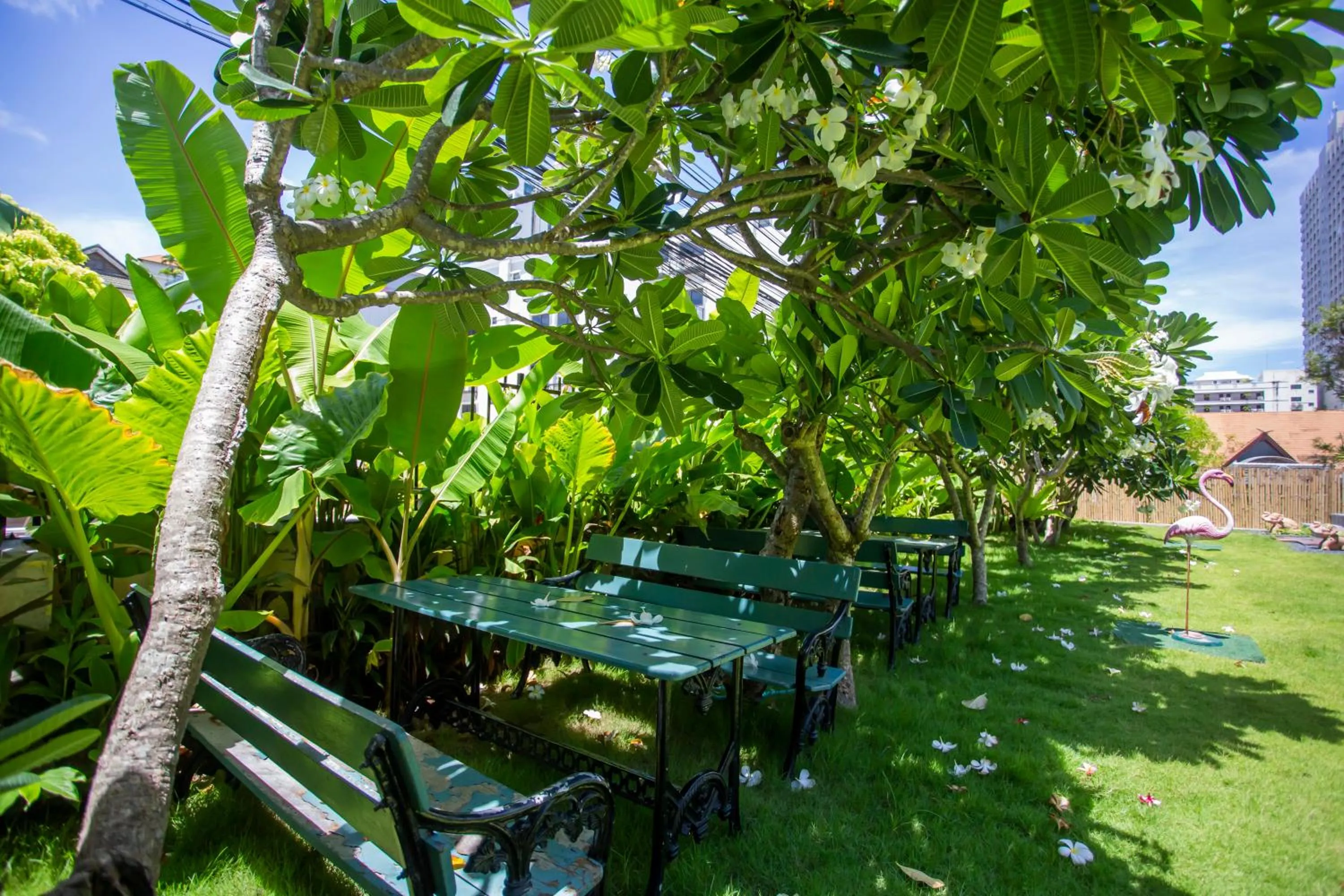 Garden in Sabai Inn