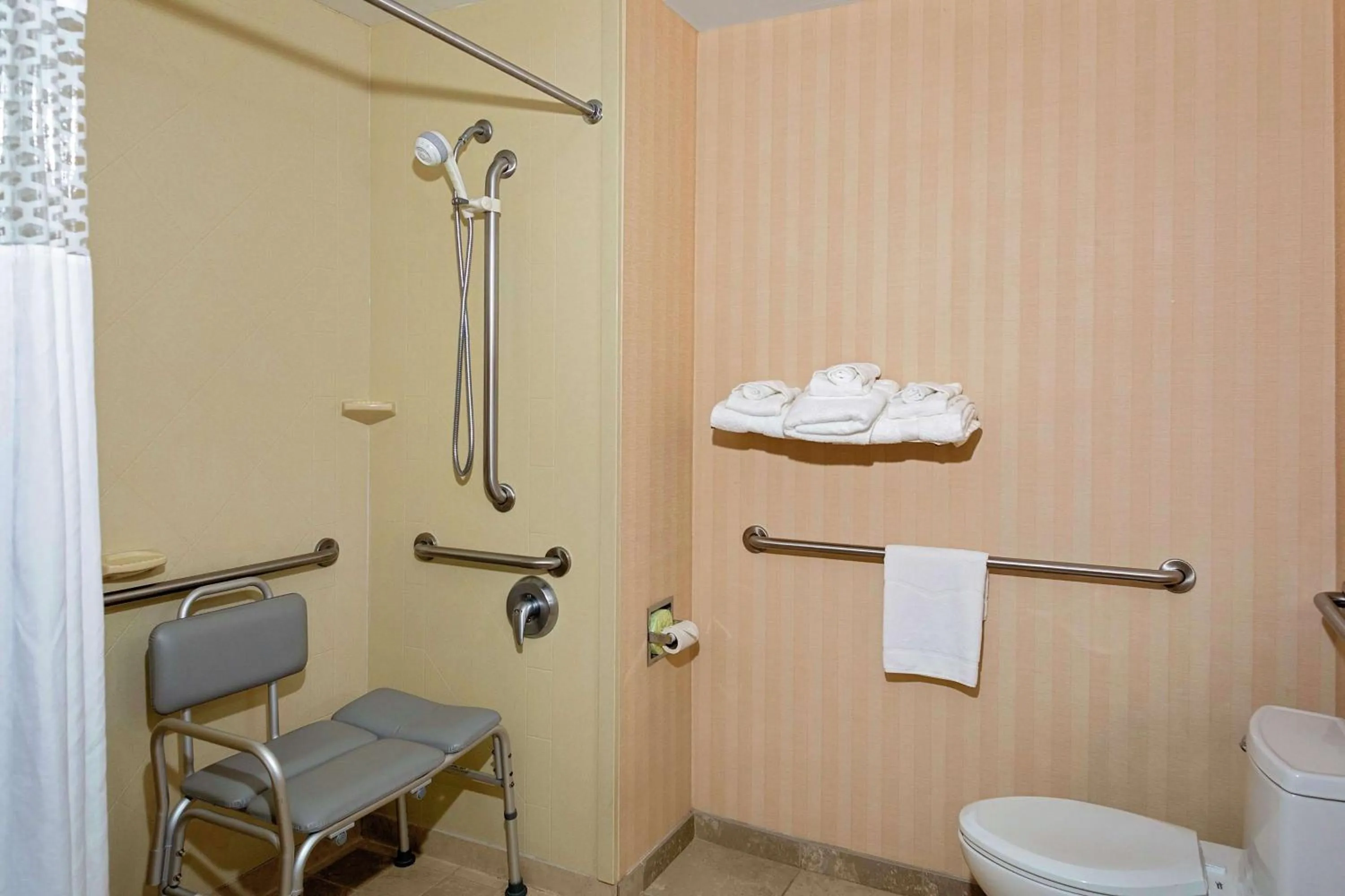 Bathroom in Hampton Inn Atlanta-Fairburn