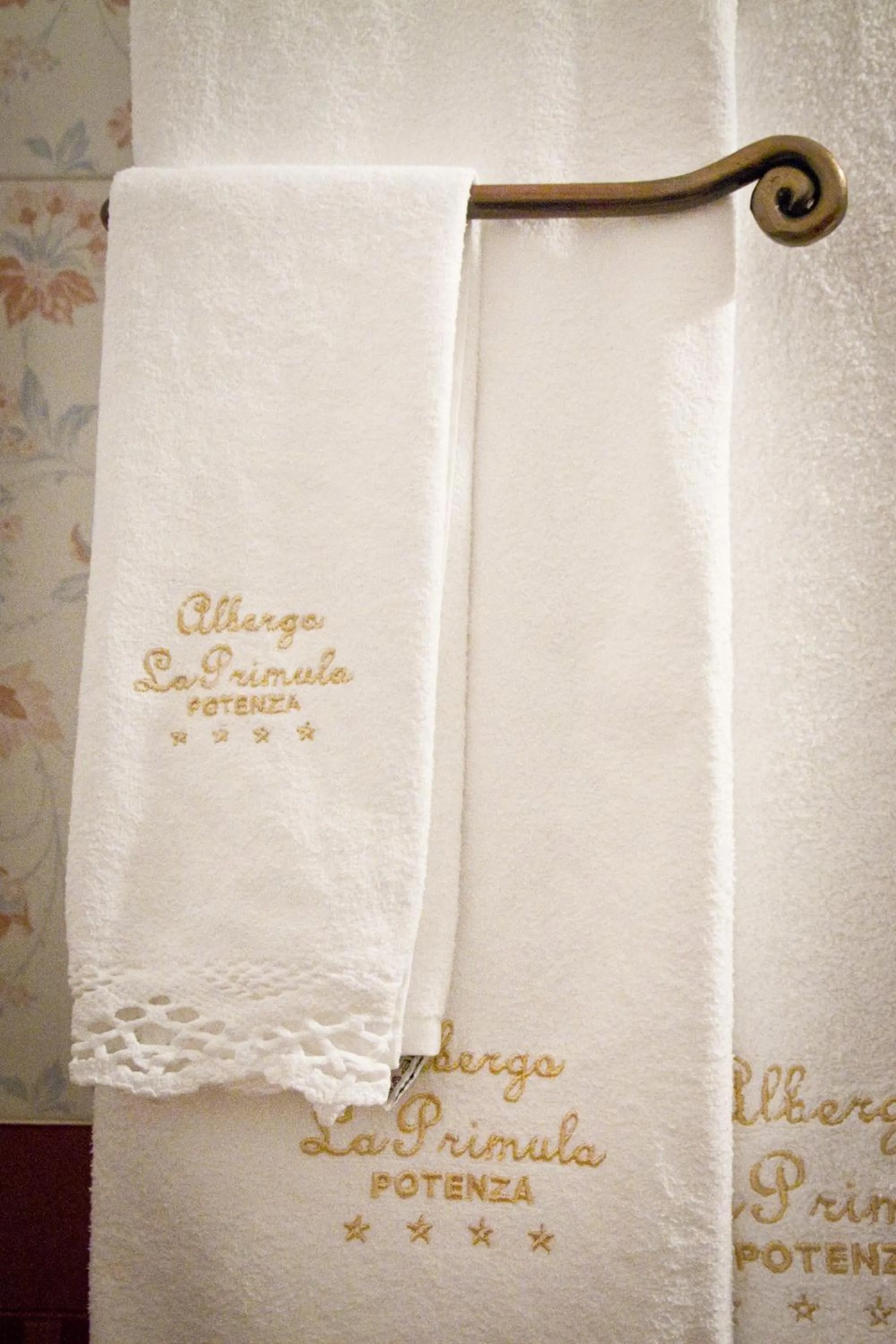 Property logo or sign in Albergo La Primula