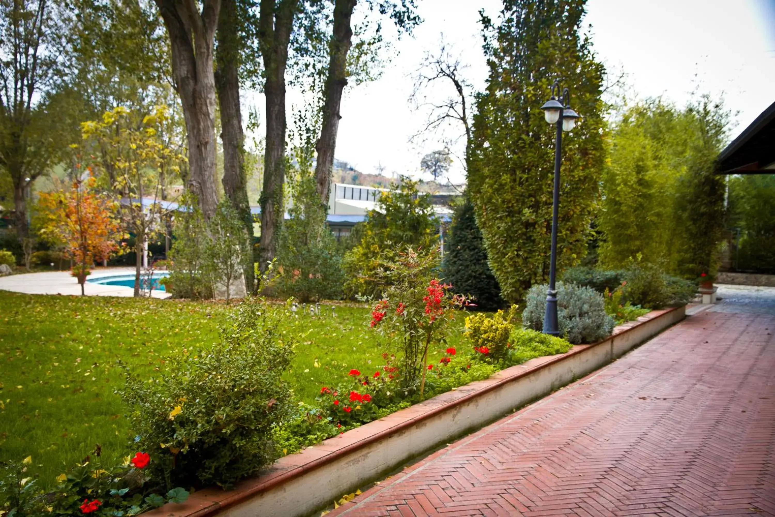 Garden in Albergo La Primula Garden in Albergo La Primula