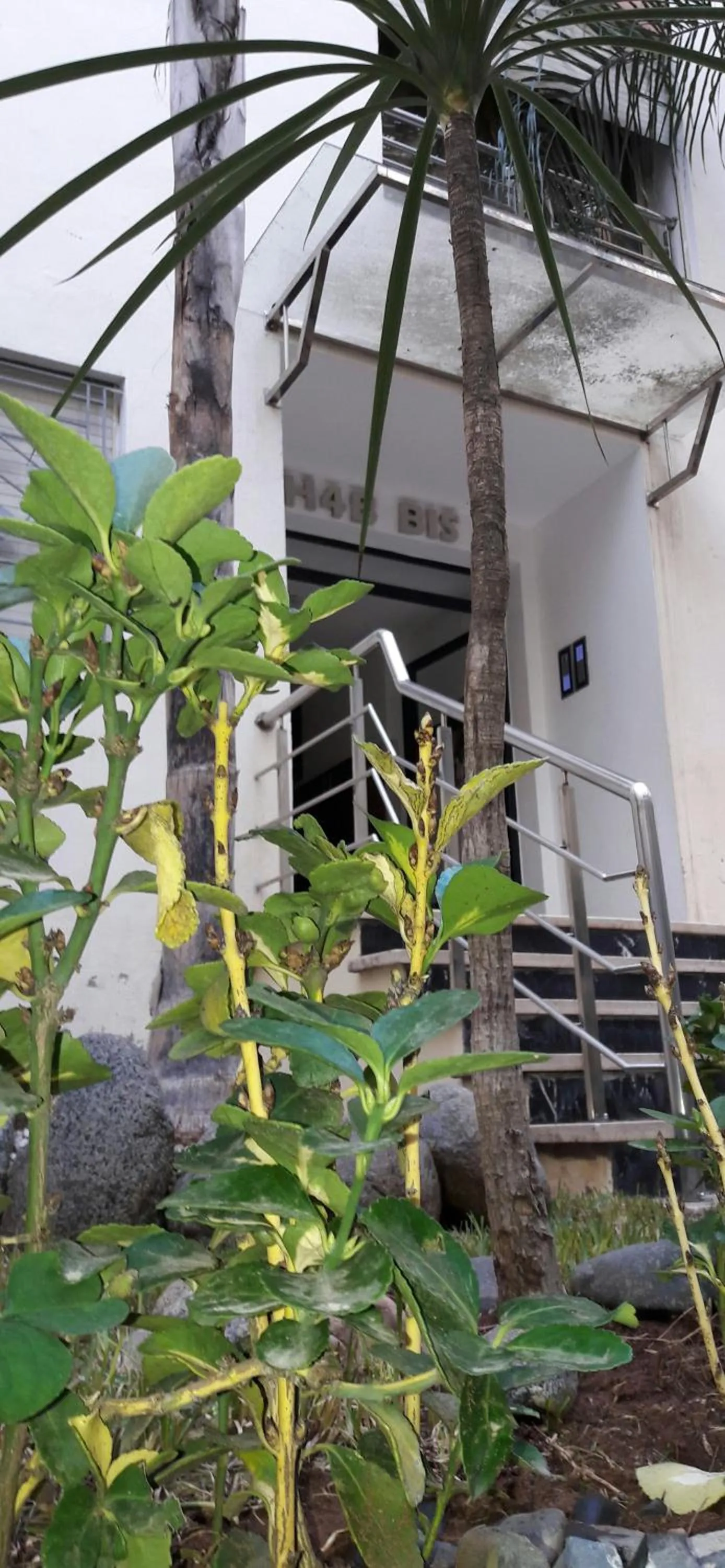 Horizon Garden Home