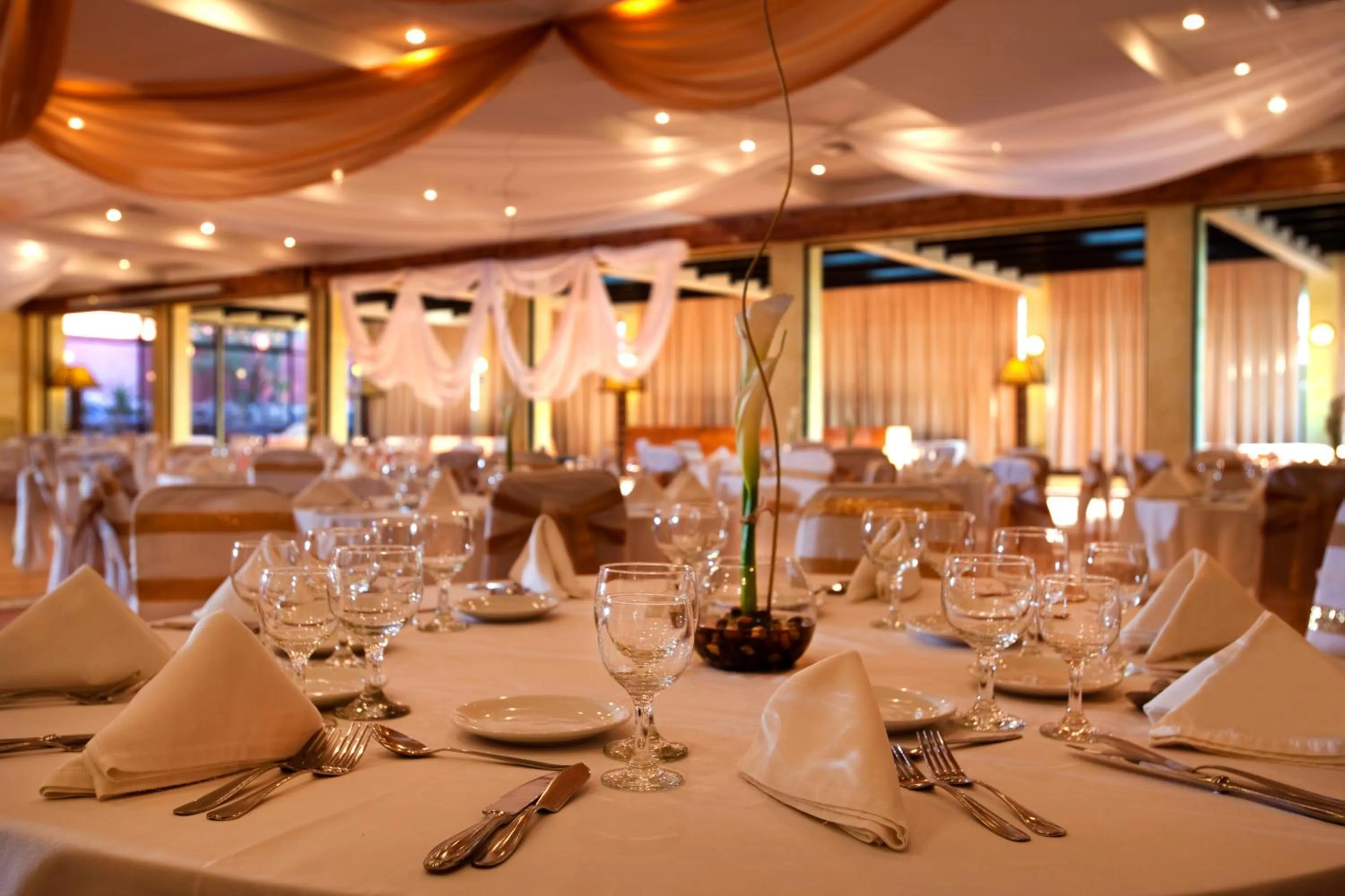 Banquet/Function facilities in Park Hotel Calama