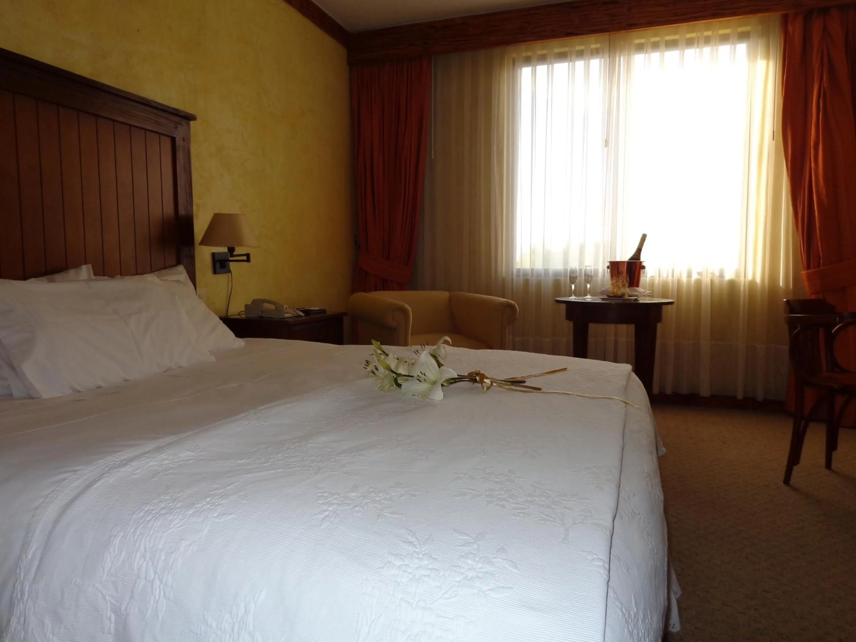 Photo of the whole room, Bed in Park Hotel Calama
