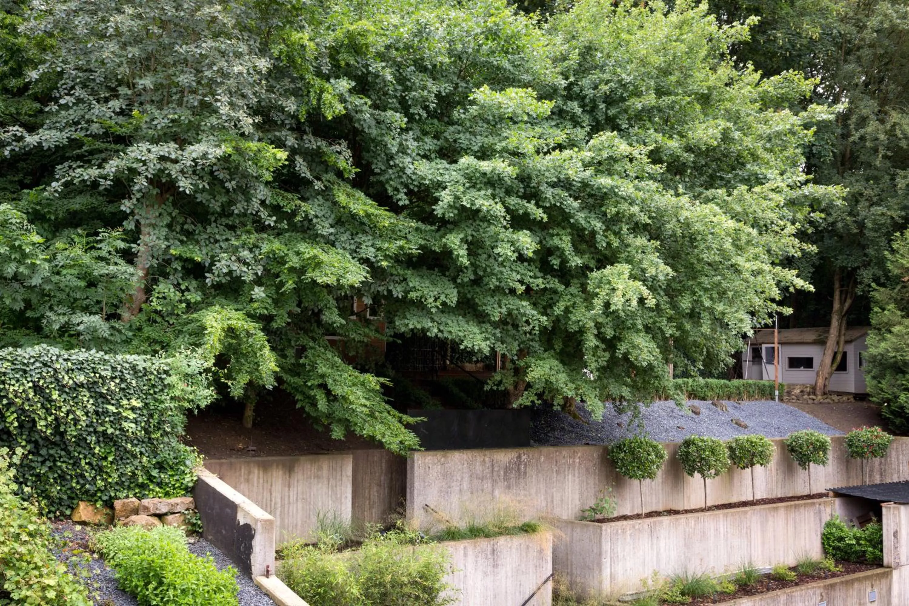 Garden in Hostellerie du Grünewald