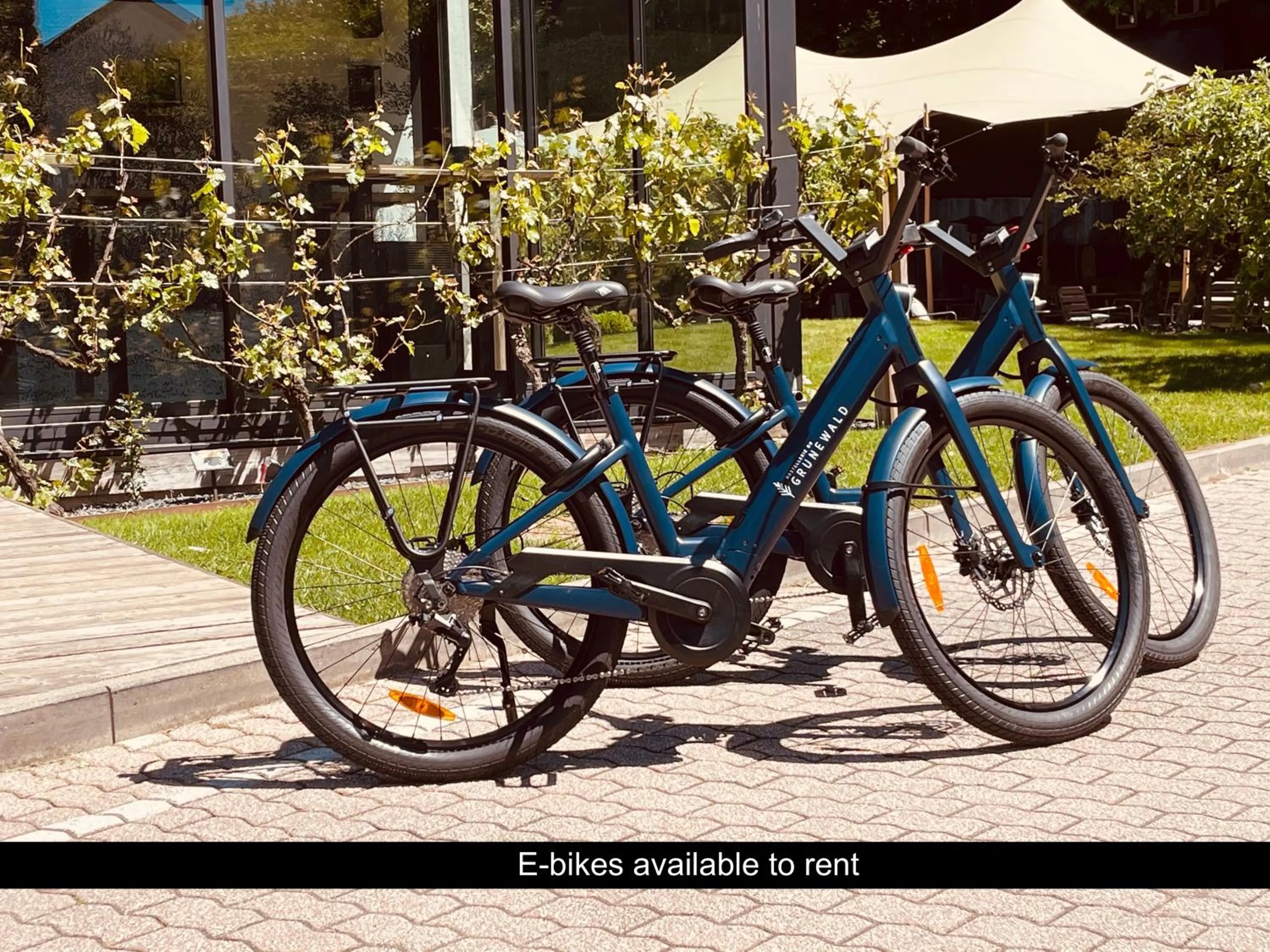 Cycling in Hostellerie du Grünewald