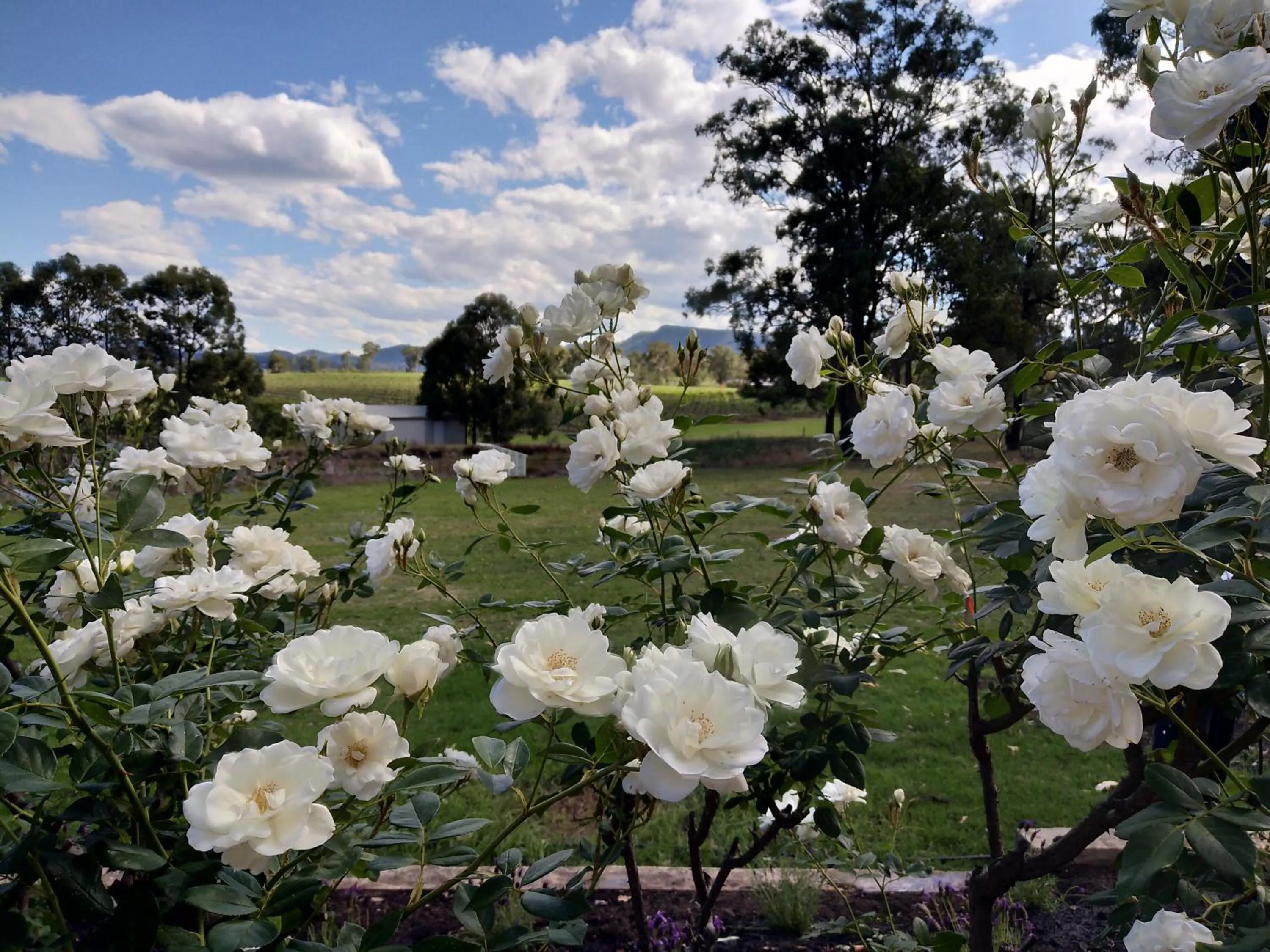 Villa Provence Estate