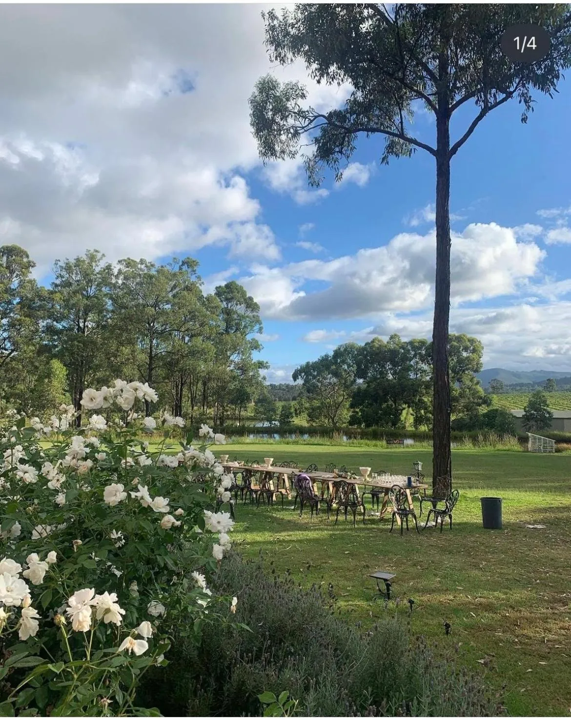 Villa Provence Estate