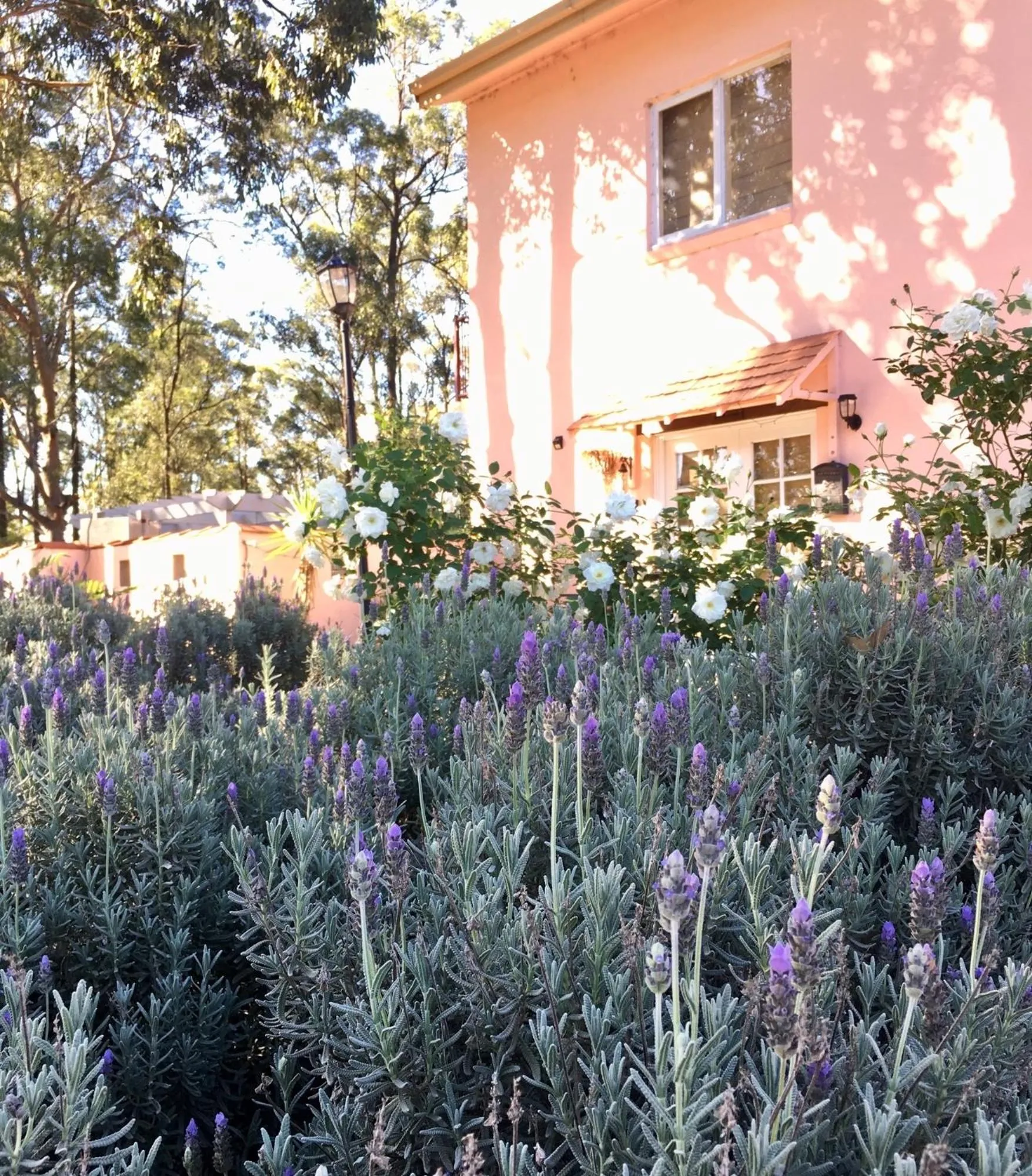 Villa Provence Estate