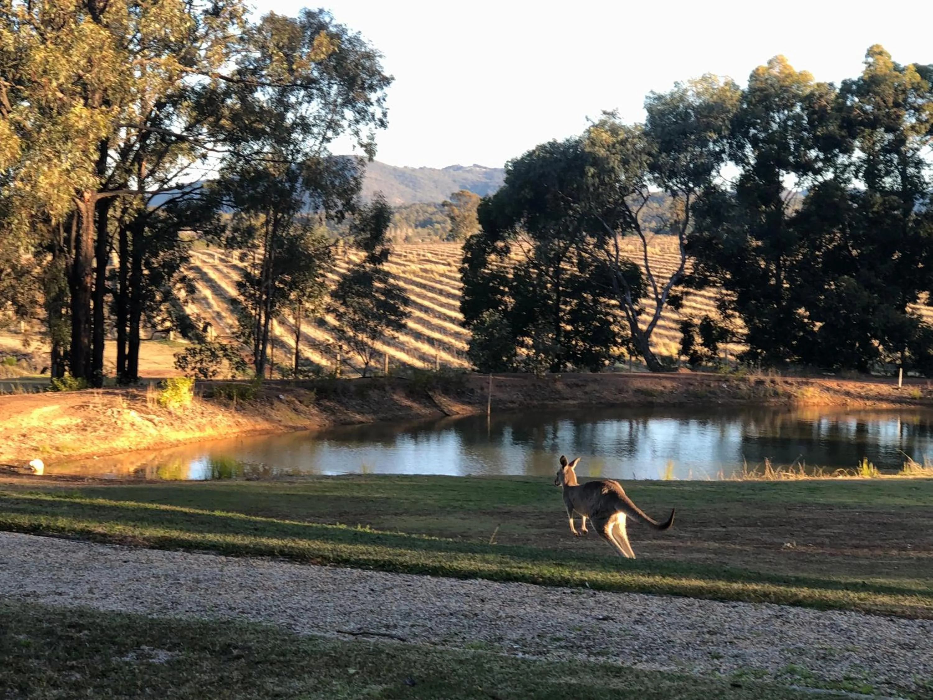 Villa Provence Estate