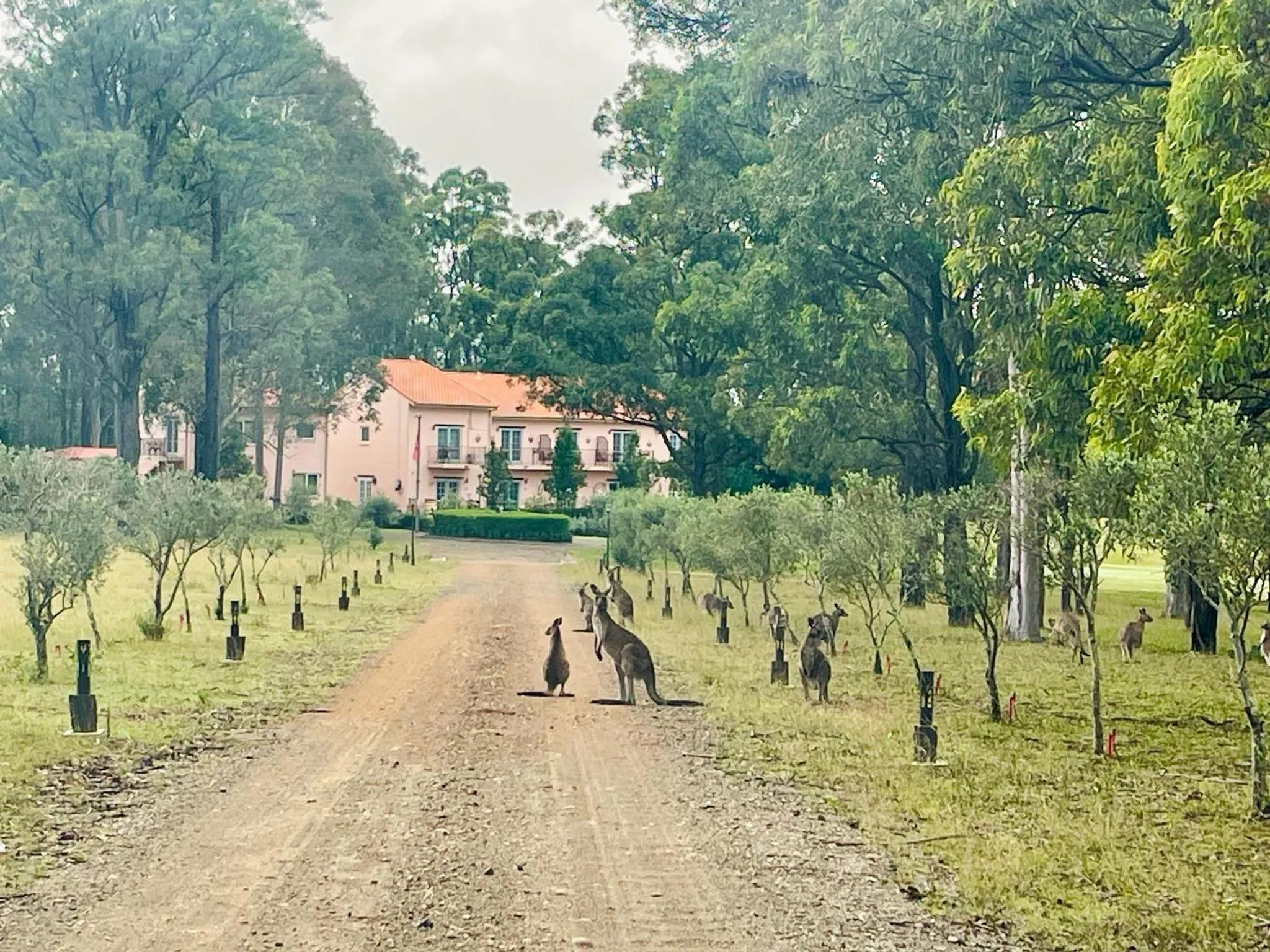 Villa Provence Estate