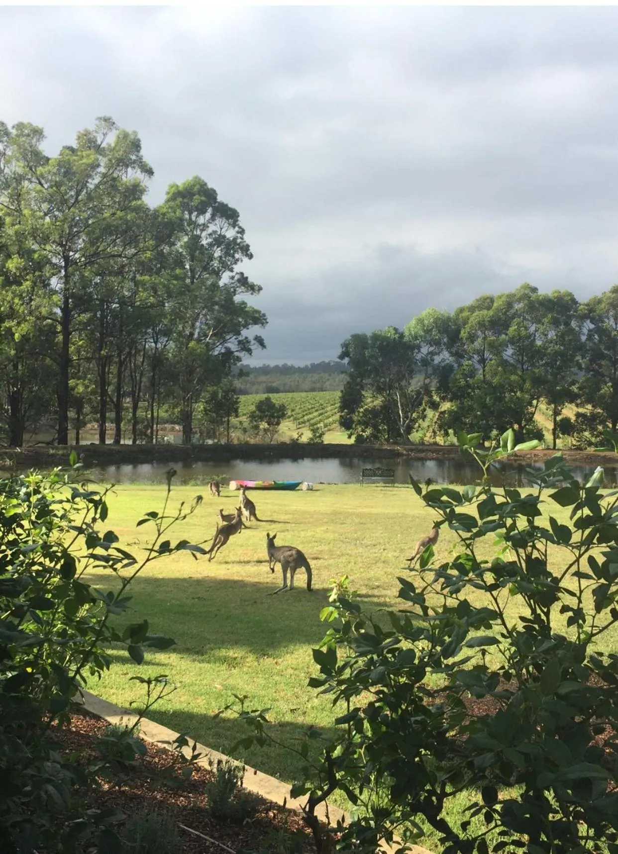 Villa Provence Estate