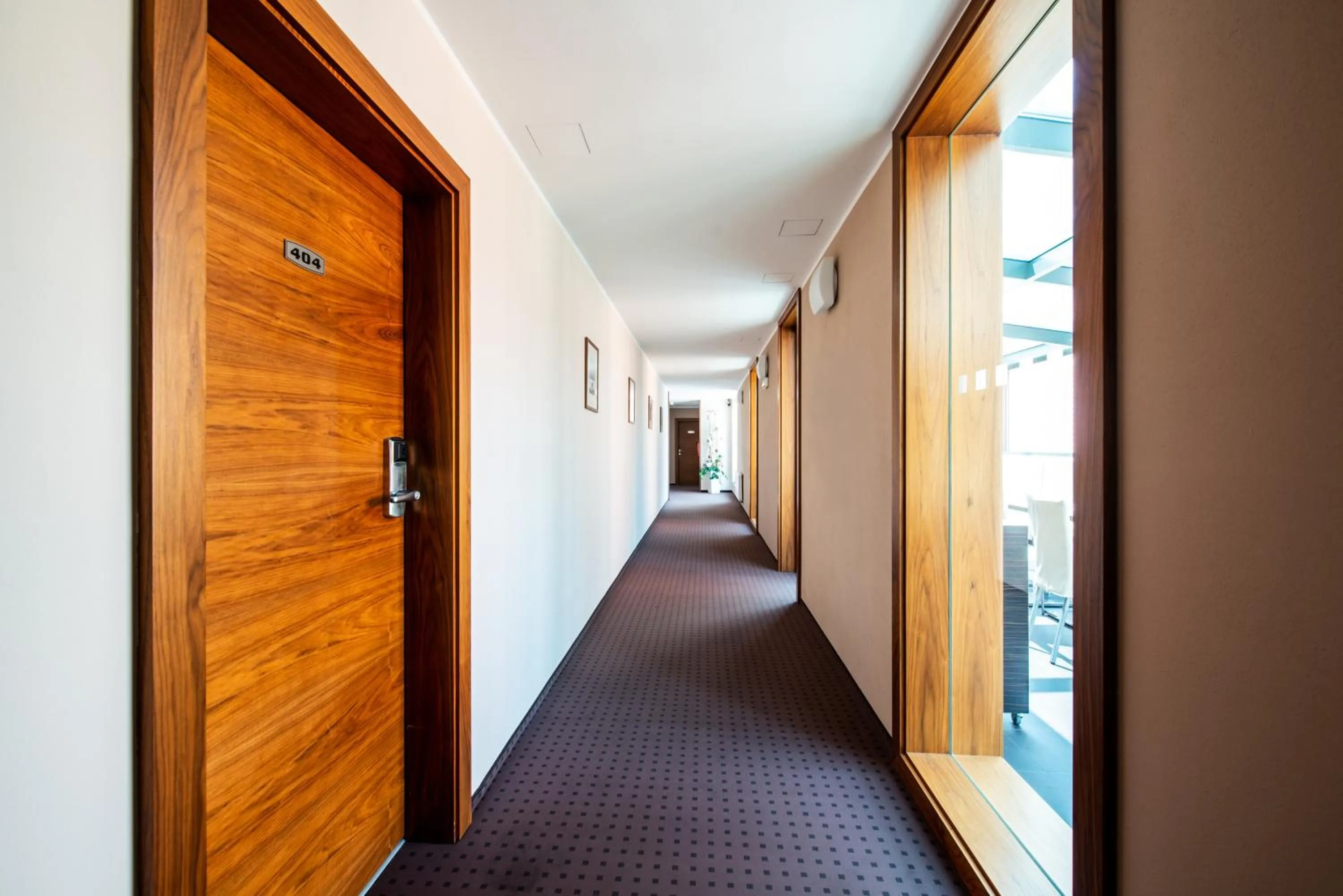 Facility for disabled guests in Hotel Mlynska