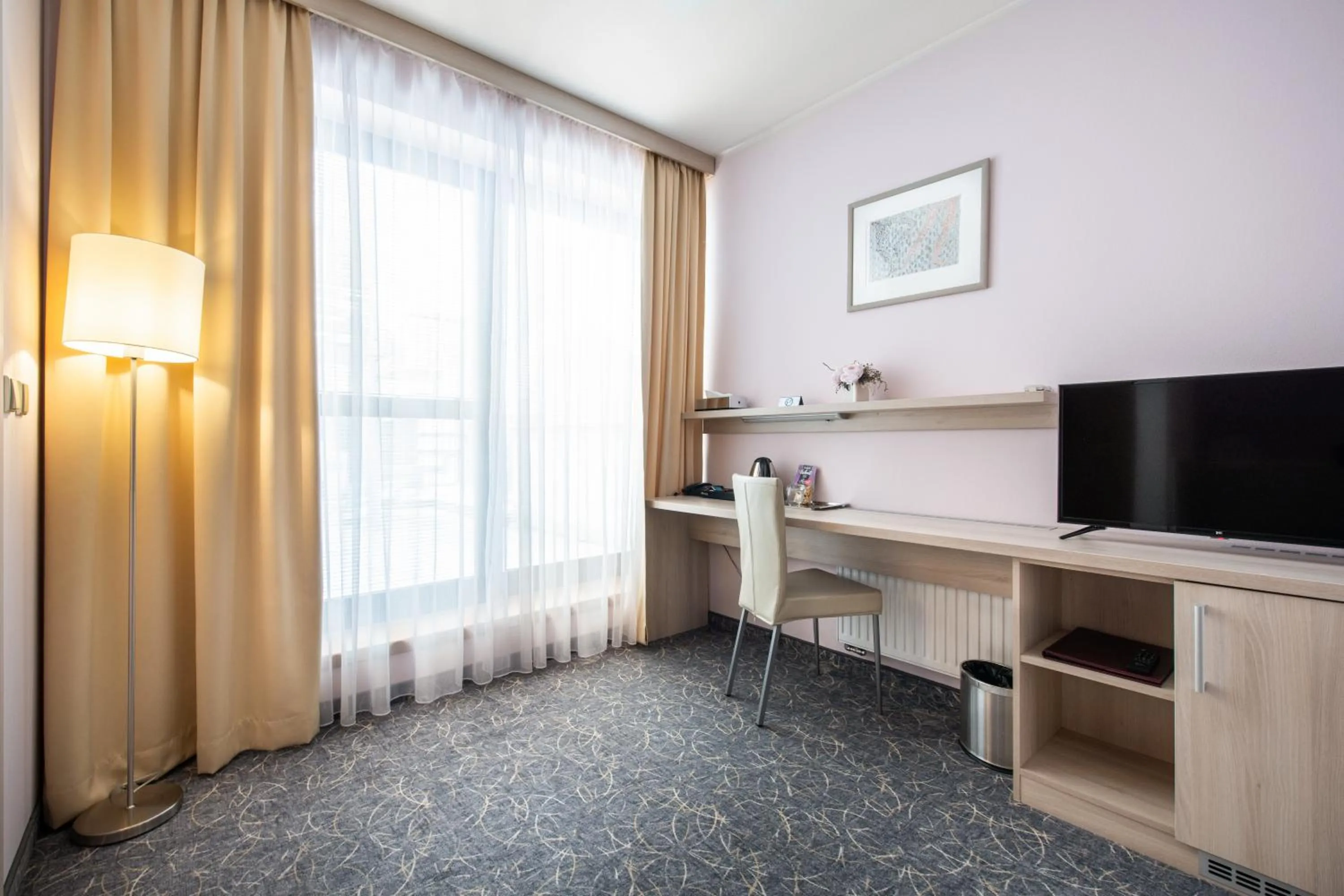 TV and multimedia in Hotel Mlynska