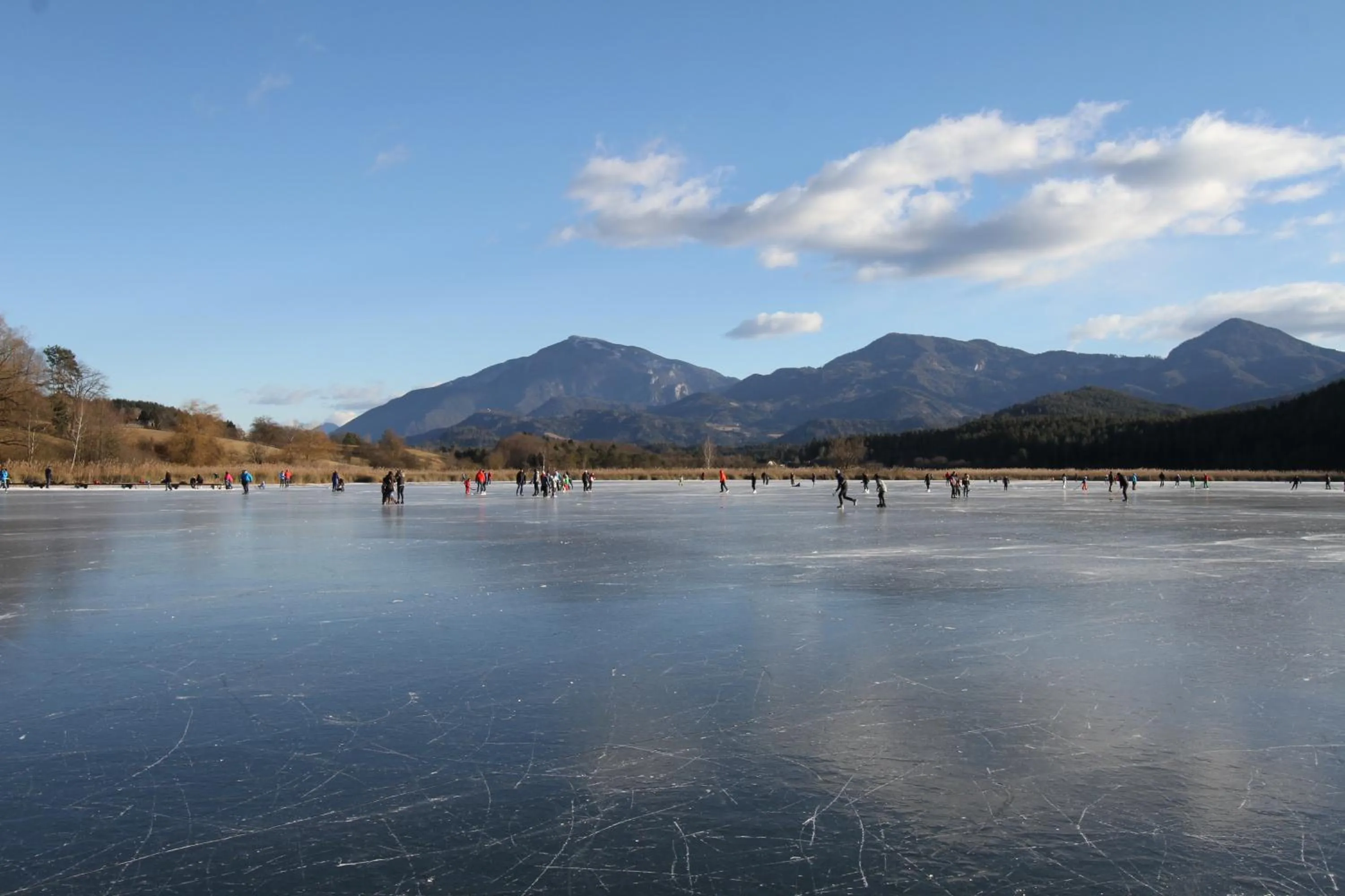 Restaurant/places to eat in Bed & Breakfast Eckwirt