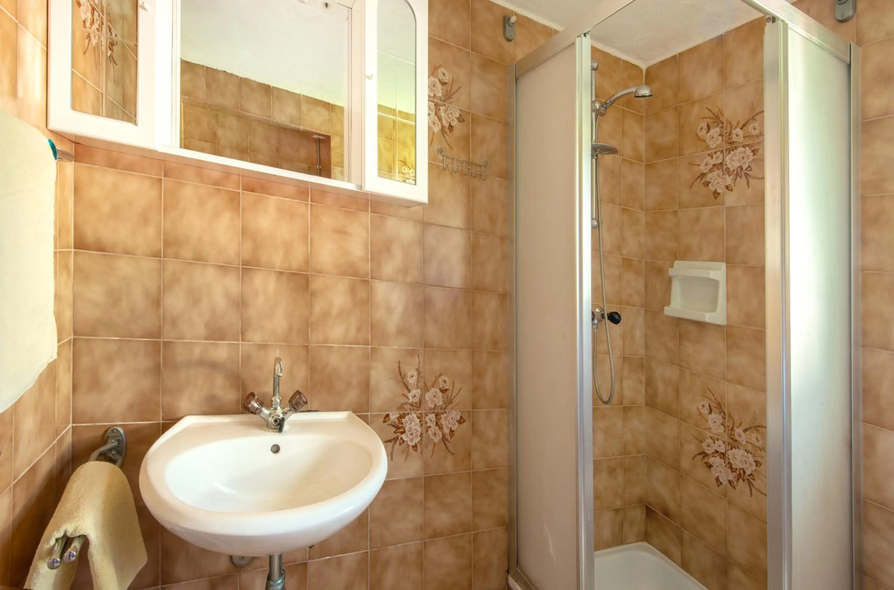 Bathroom in Bed & Breakfast Eckwirt