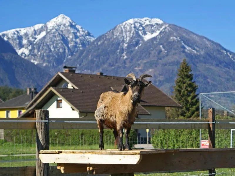 Property building in Bed & Breakfast Eckwirt